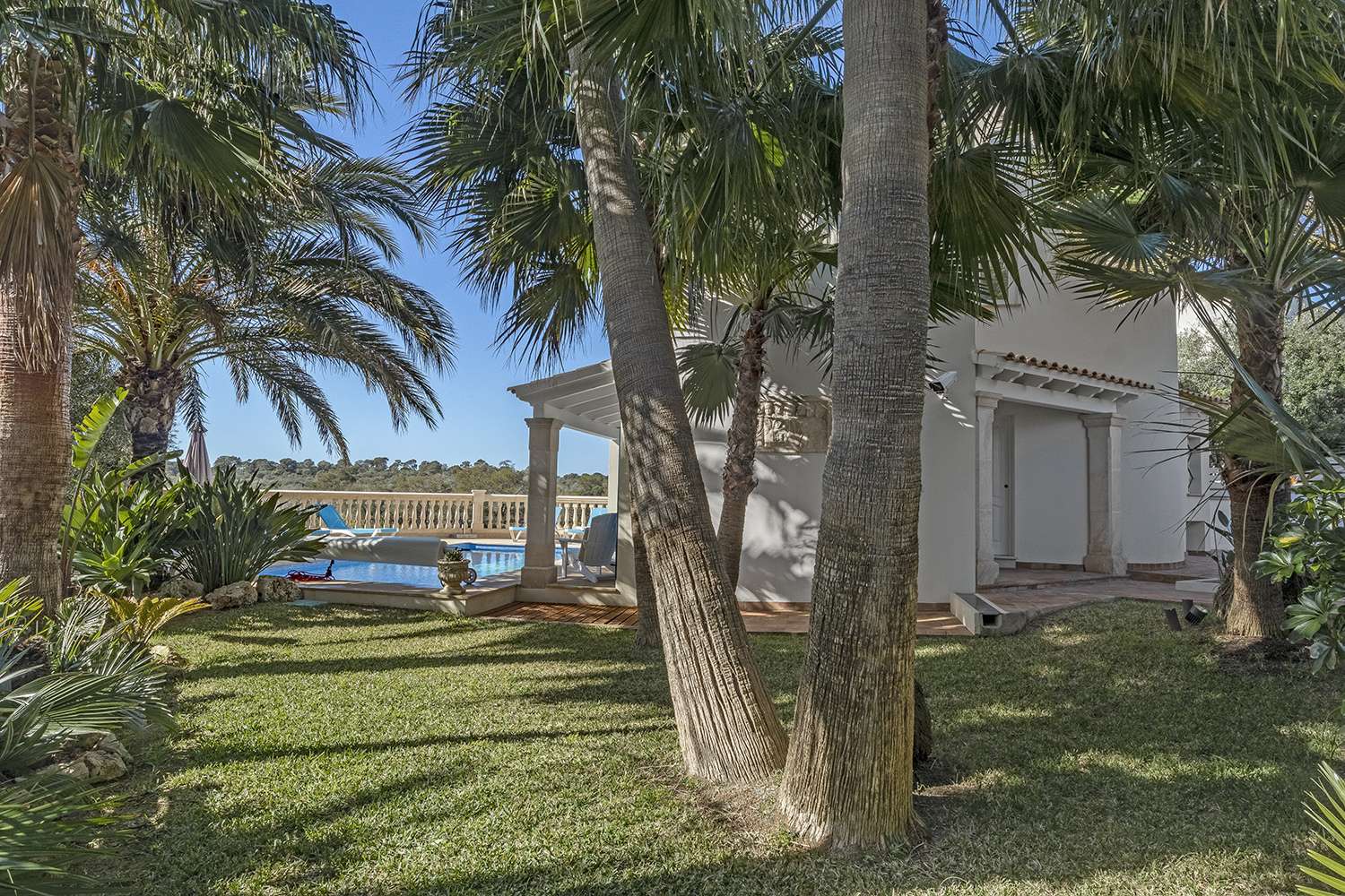 [object Object] - image