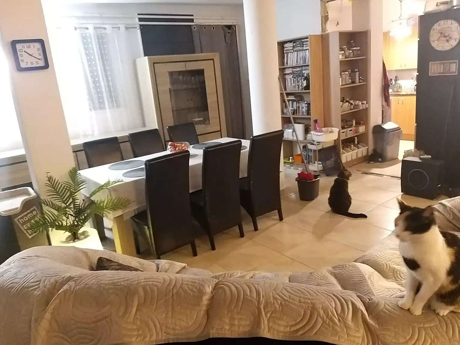 [object Object] - image