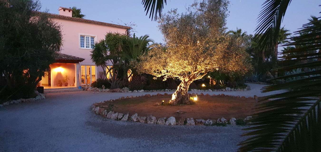 [object Object] - image