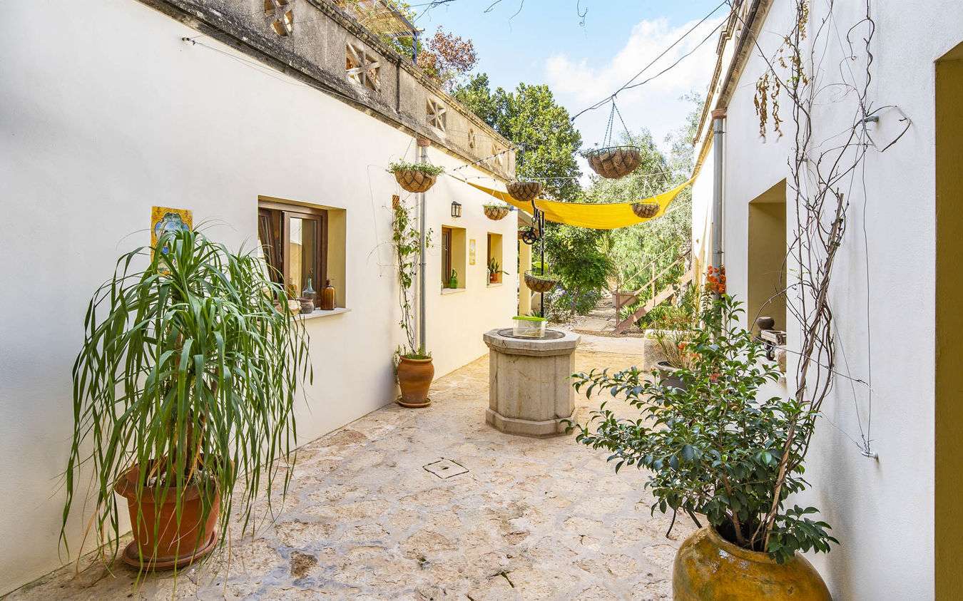 [object Object] - image