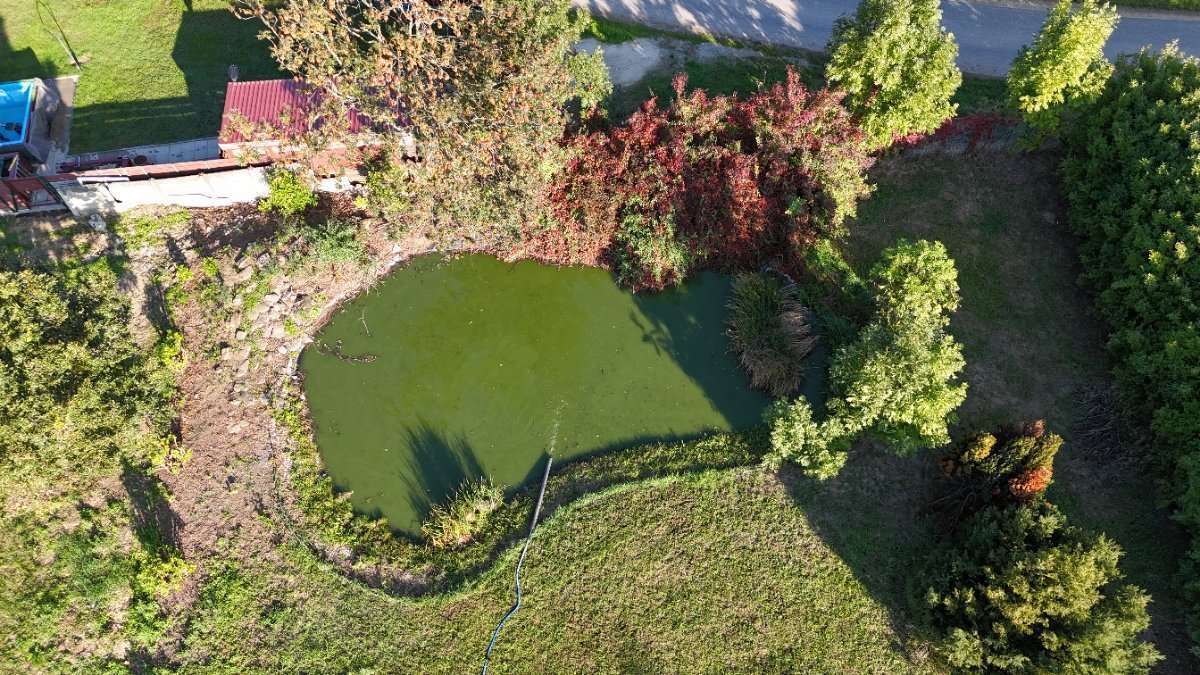 [object Object] - image