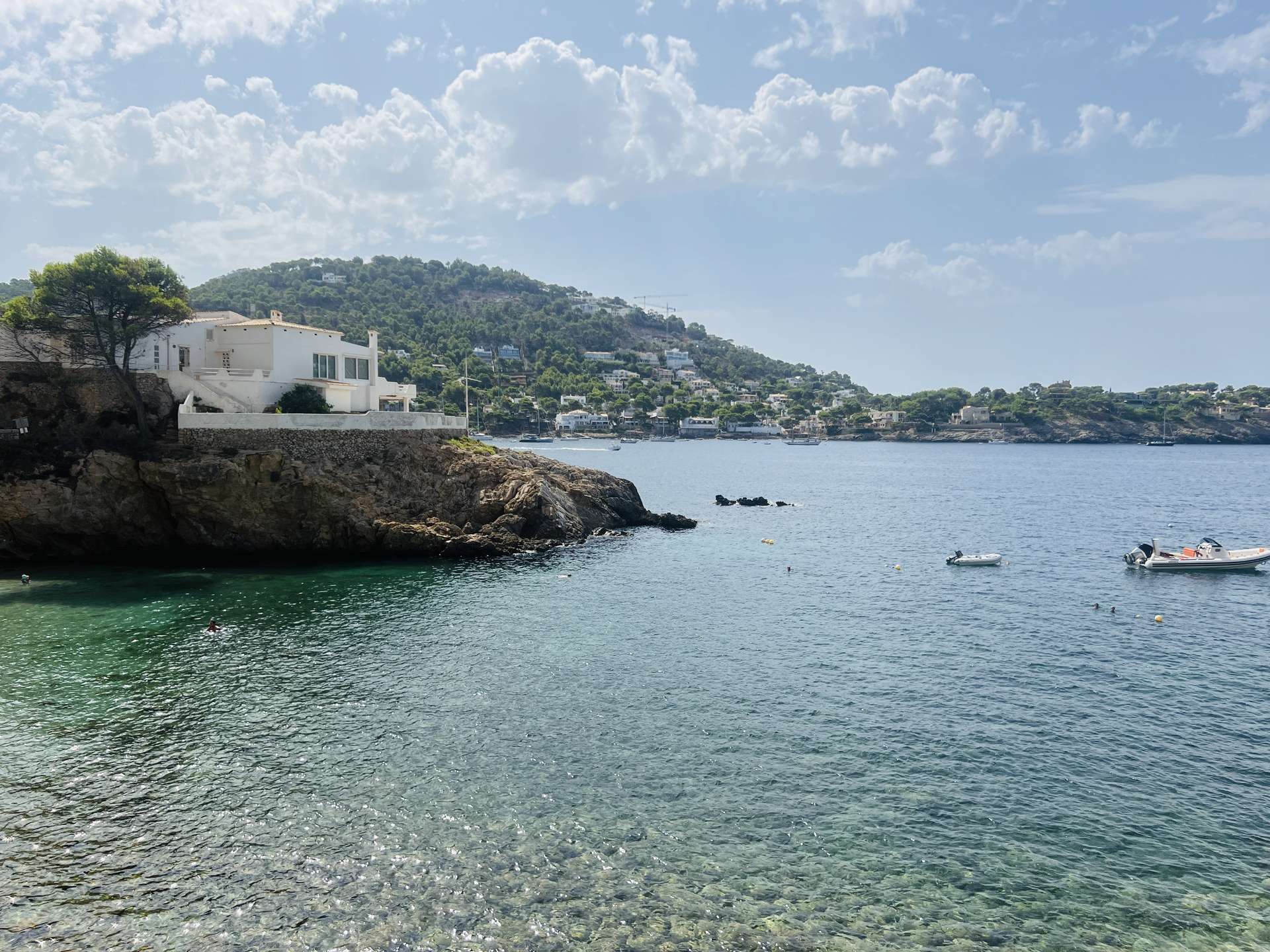 [object Object] - image