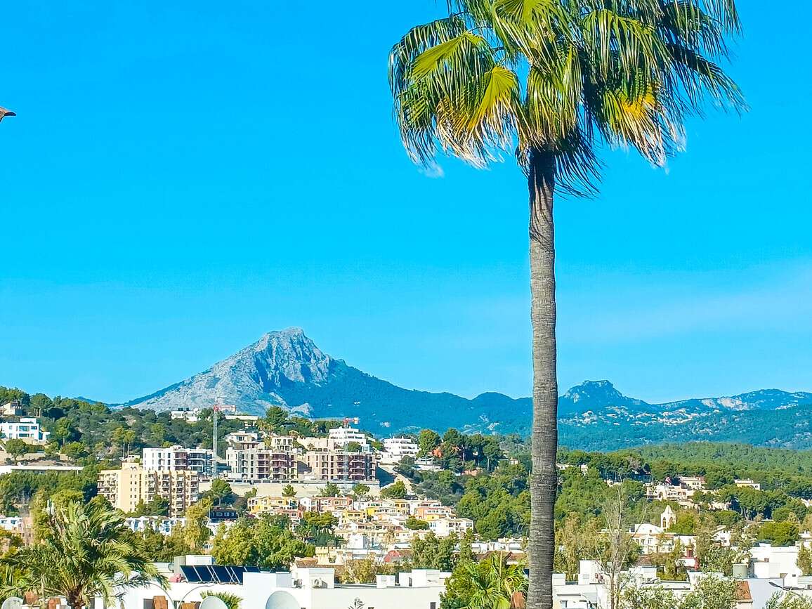 [object Object] - image