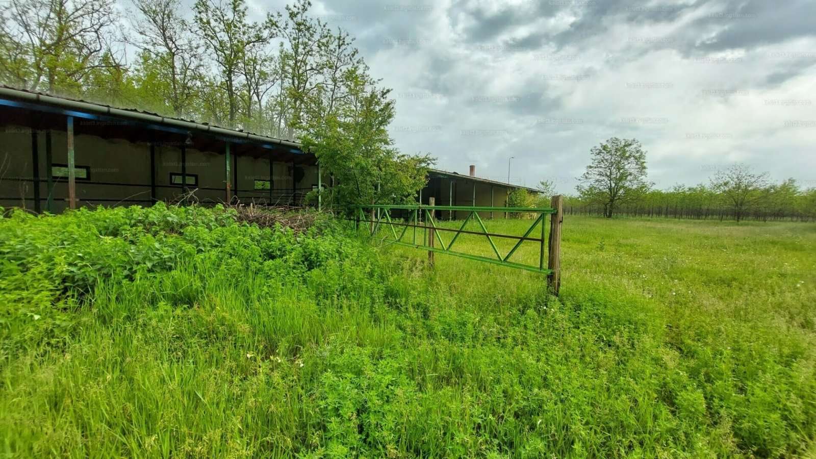 [object Object] - image