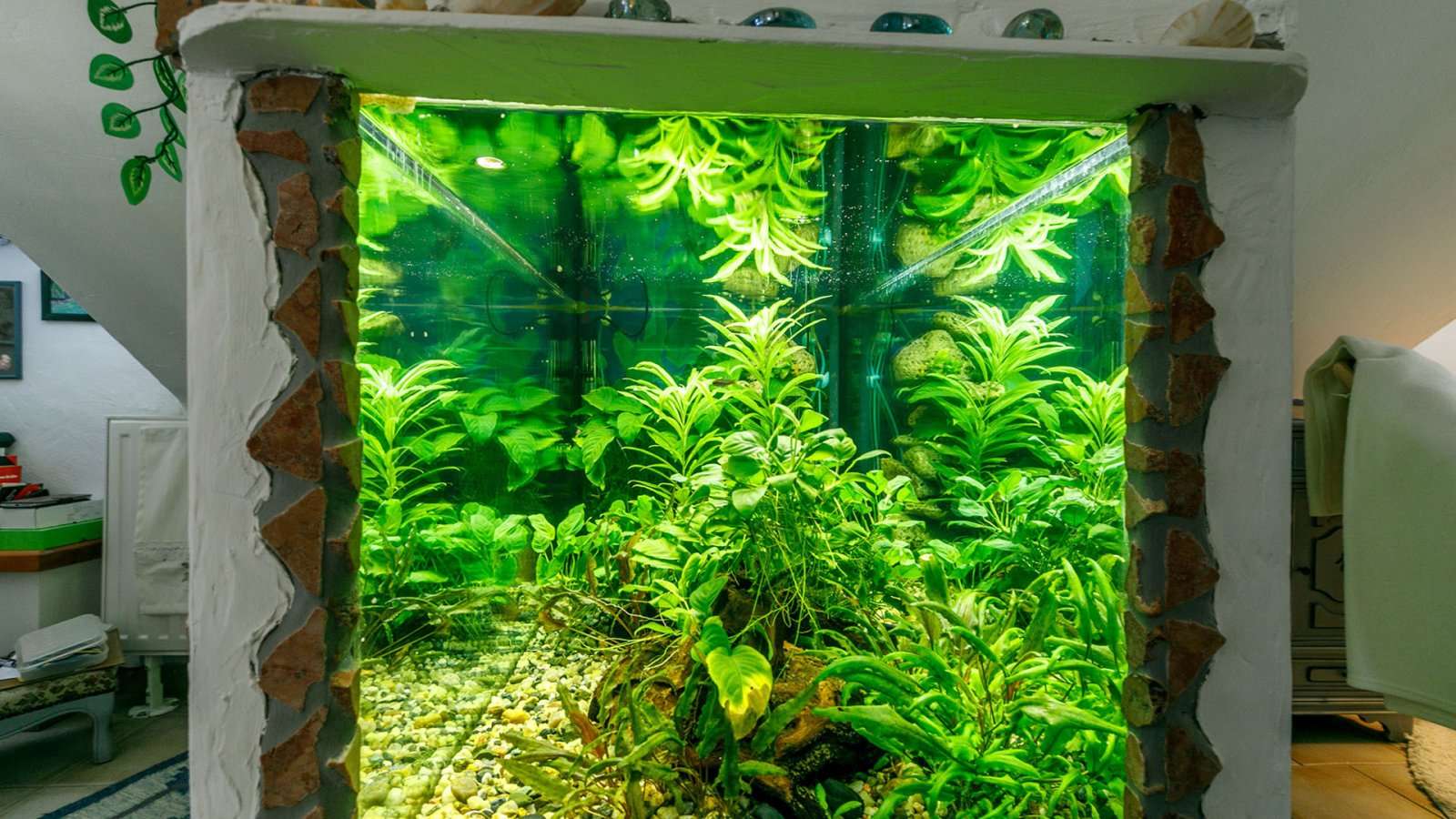 [object Object] - image