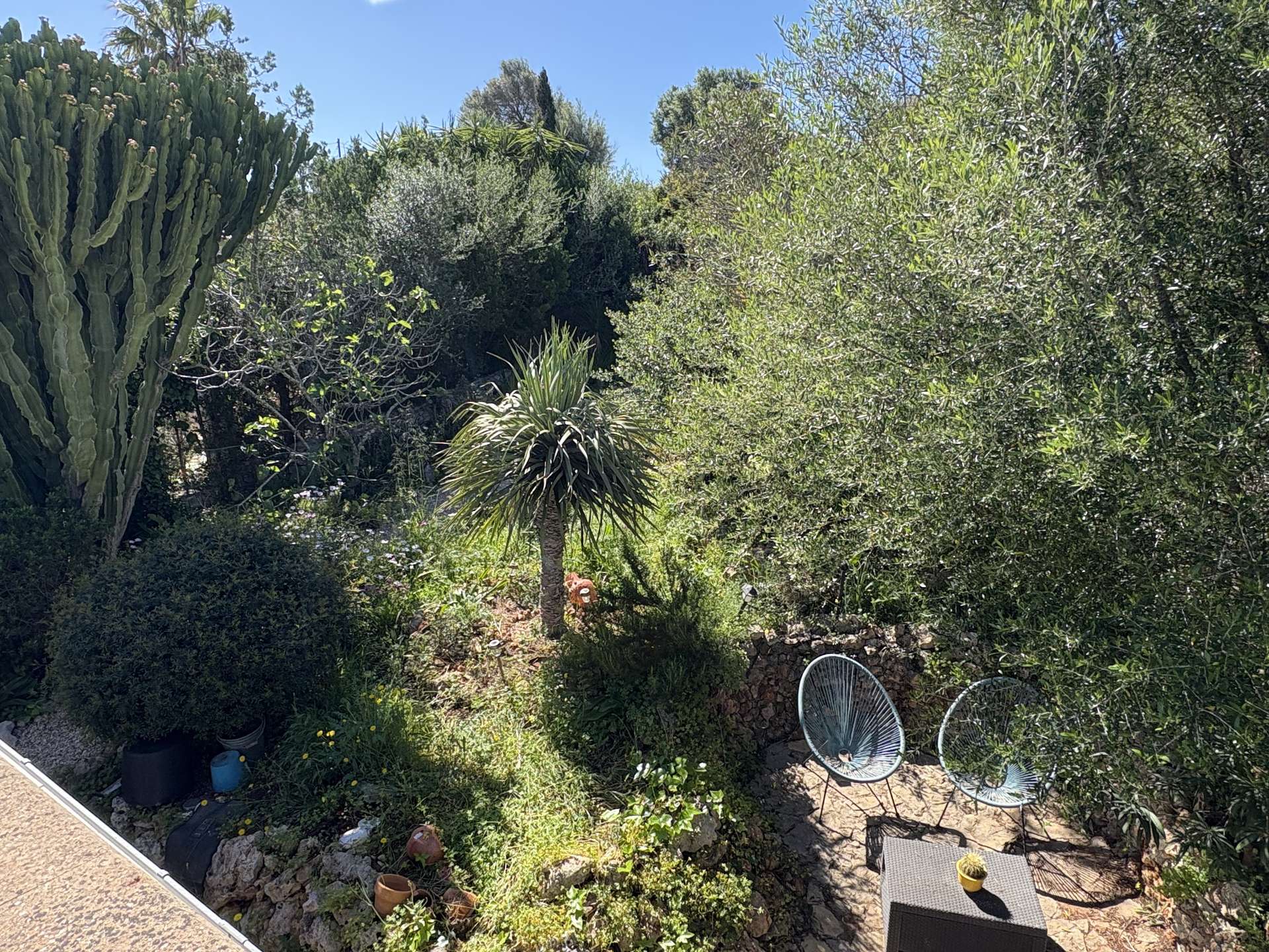 [object Object] - image