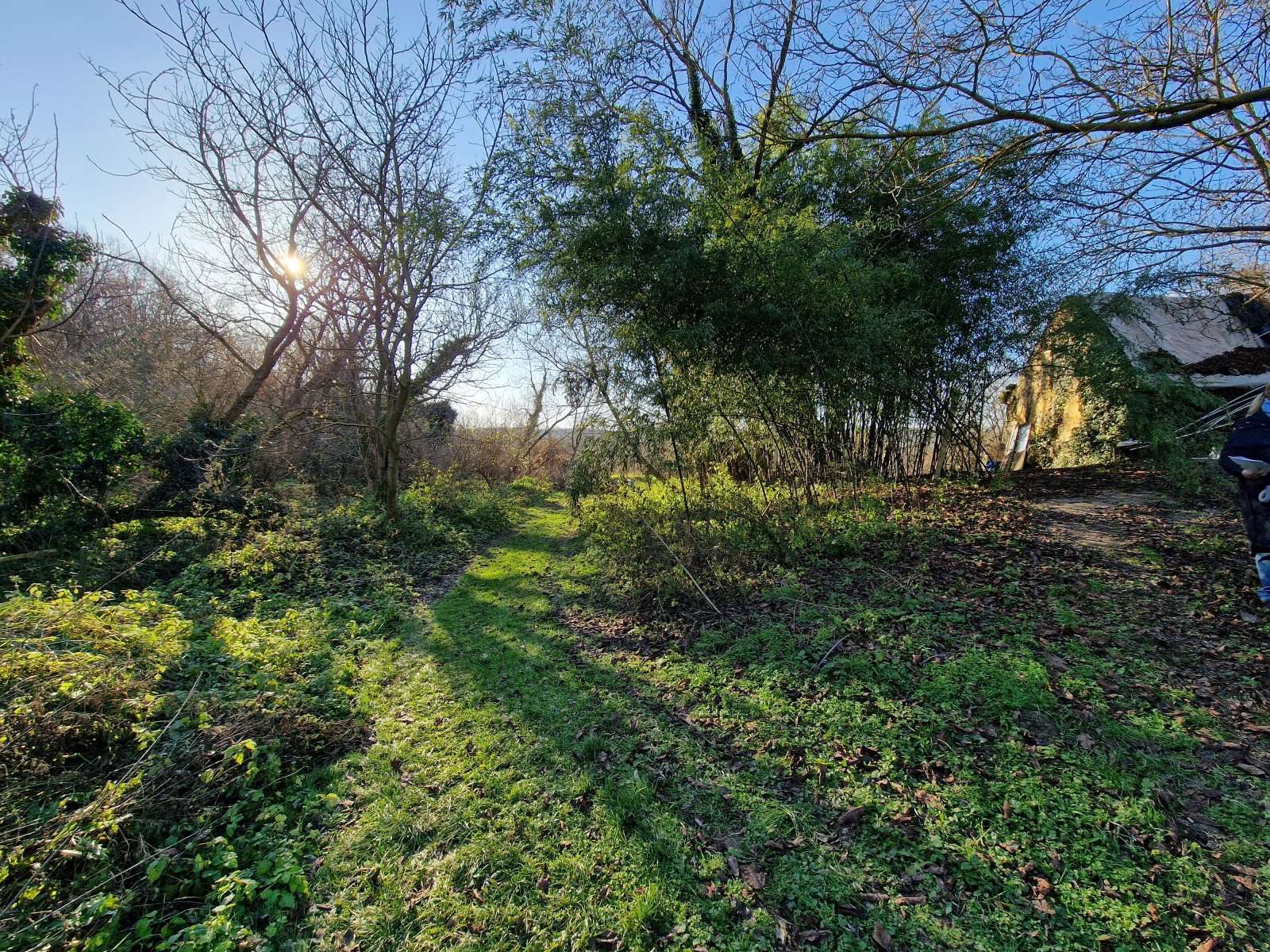 [object Object] - image