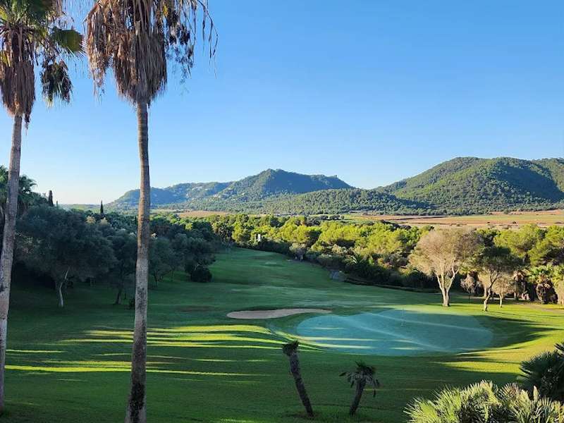 [object Object] - image