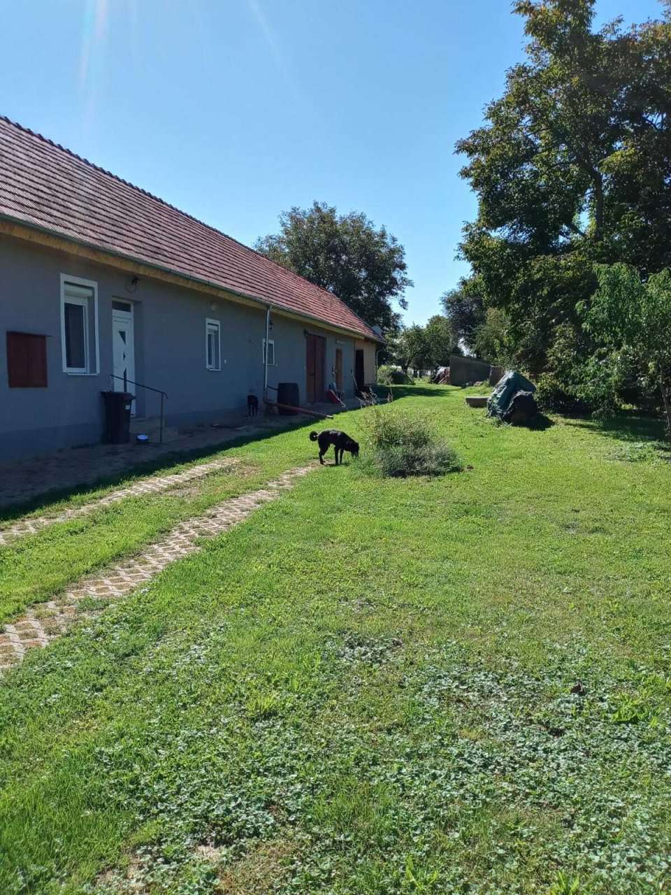 [object Object] - image