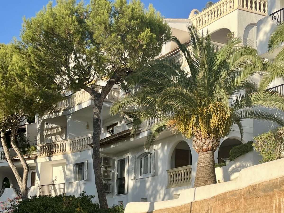 [object Object] - image