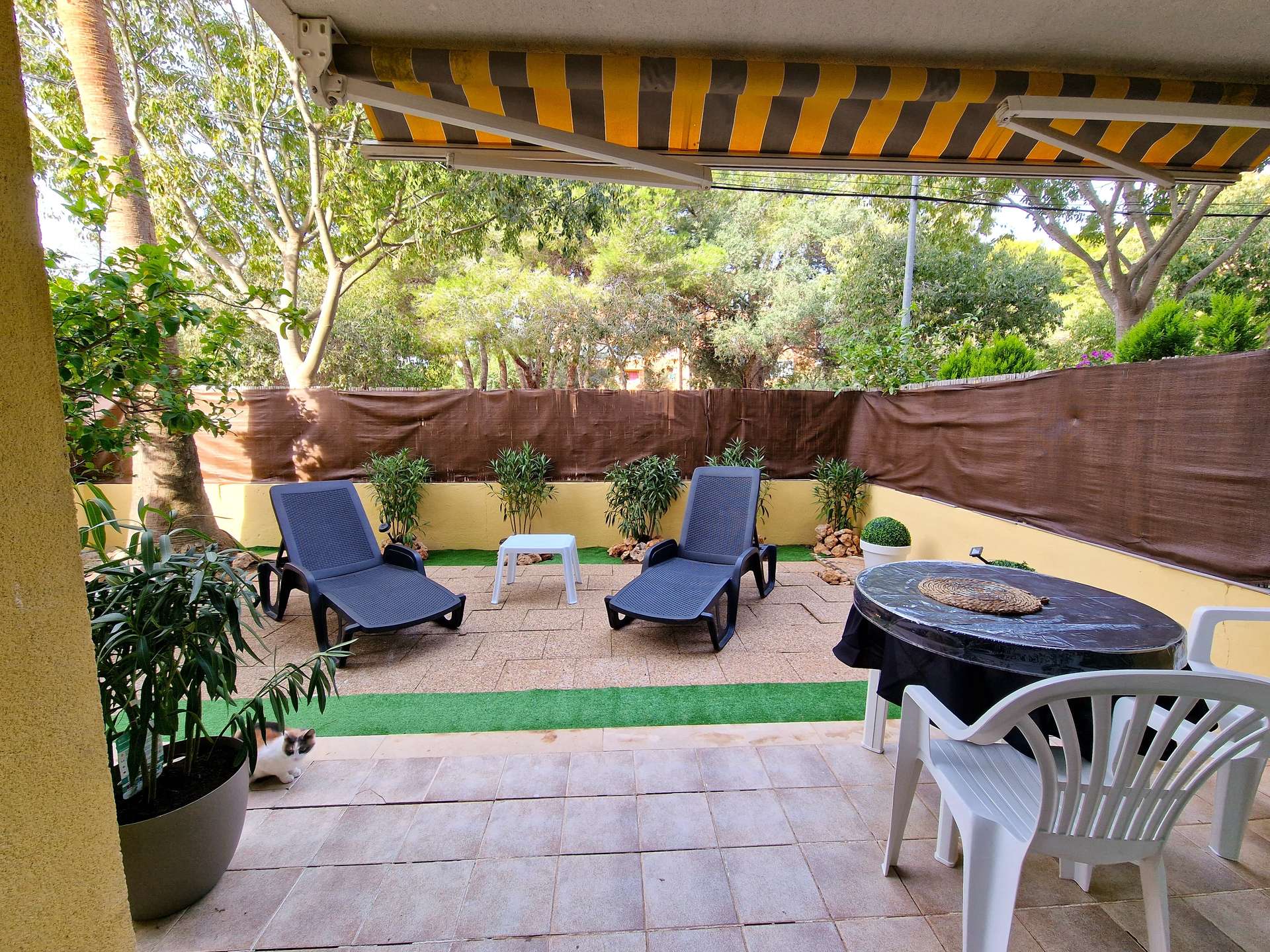 [object Object] - image