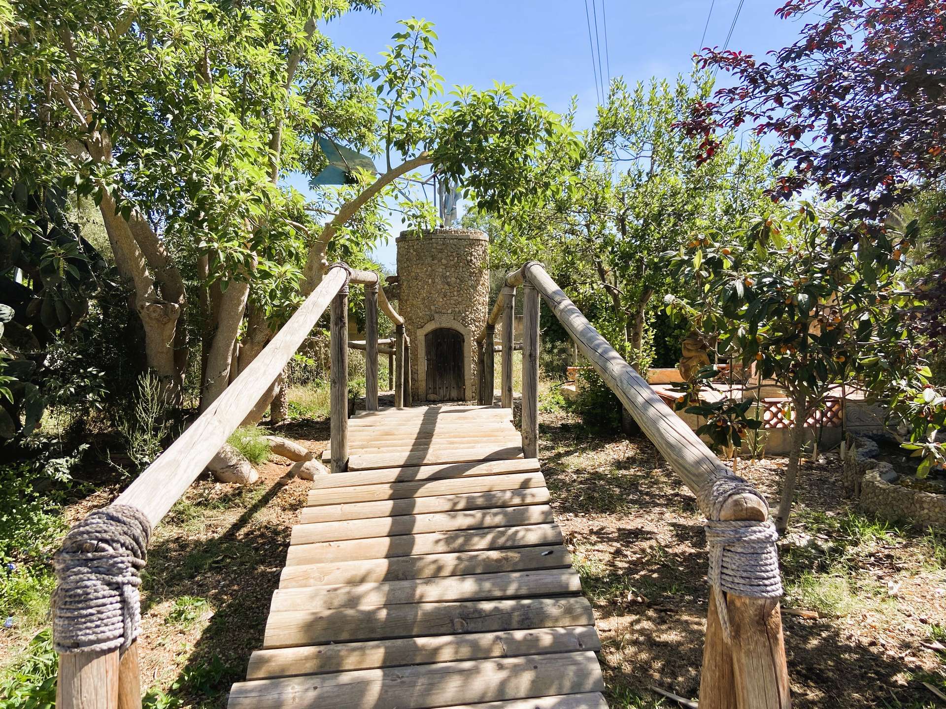 [object Object] - image