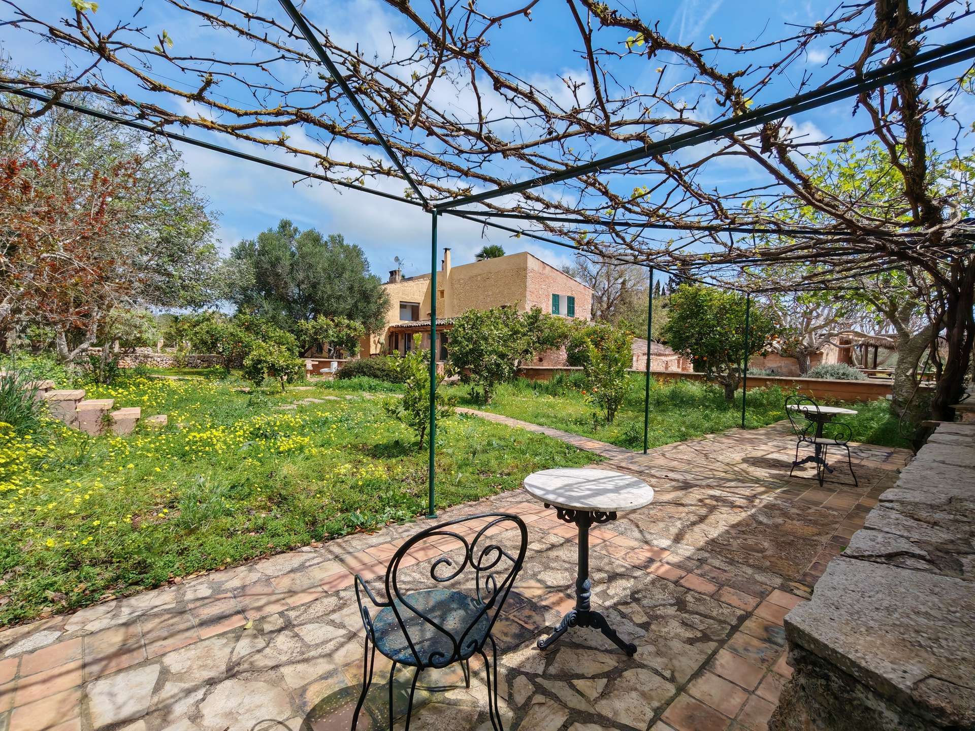 [object Object] - image