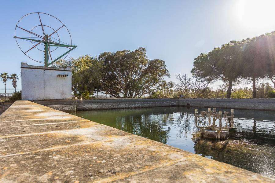 [object Object] - image