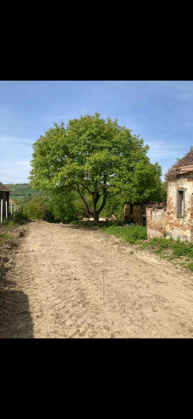 [object Object] - image