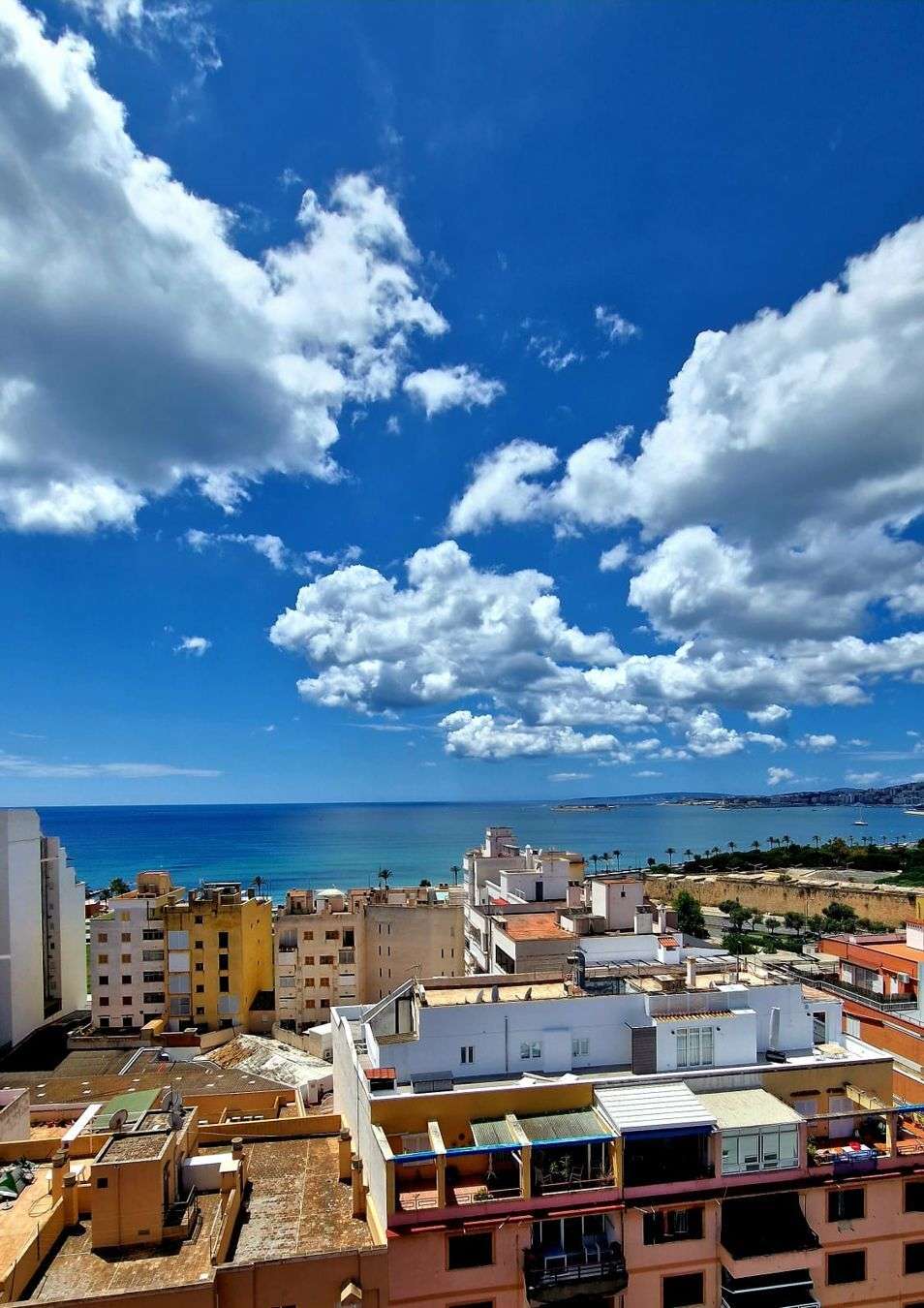 [object Object] - image