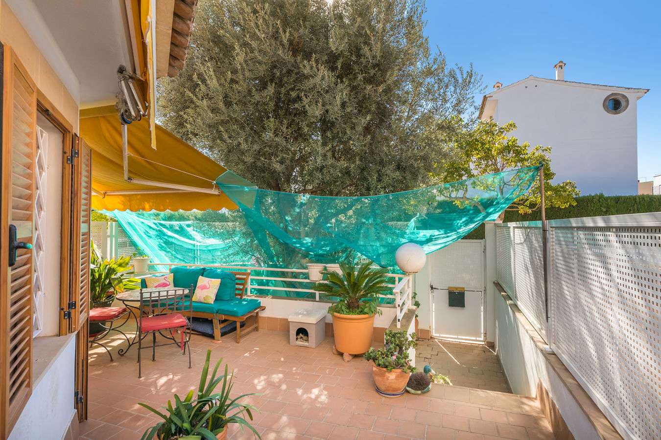 [object Object] - image