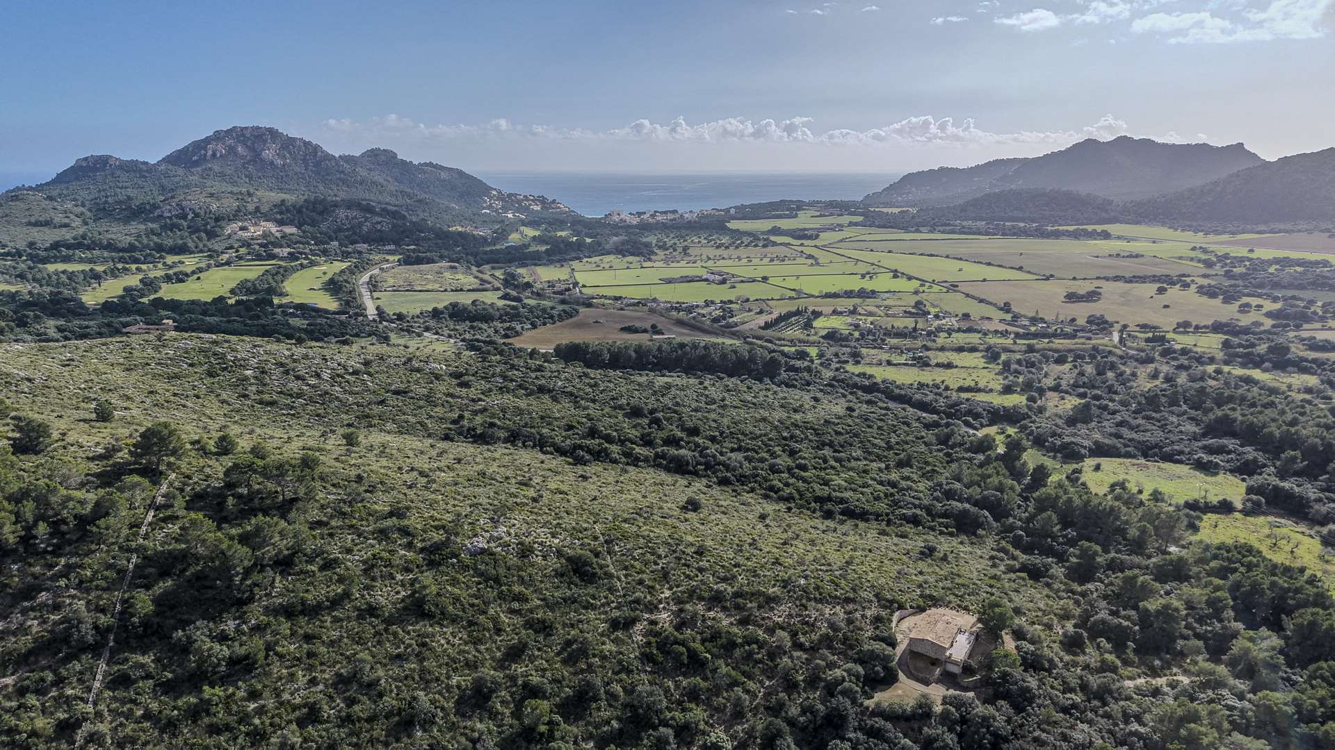 [object Object] - image