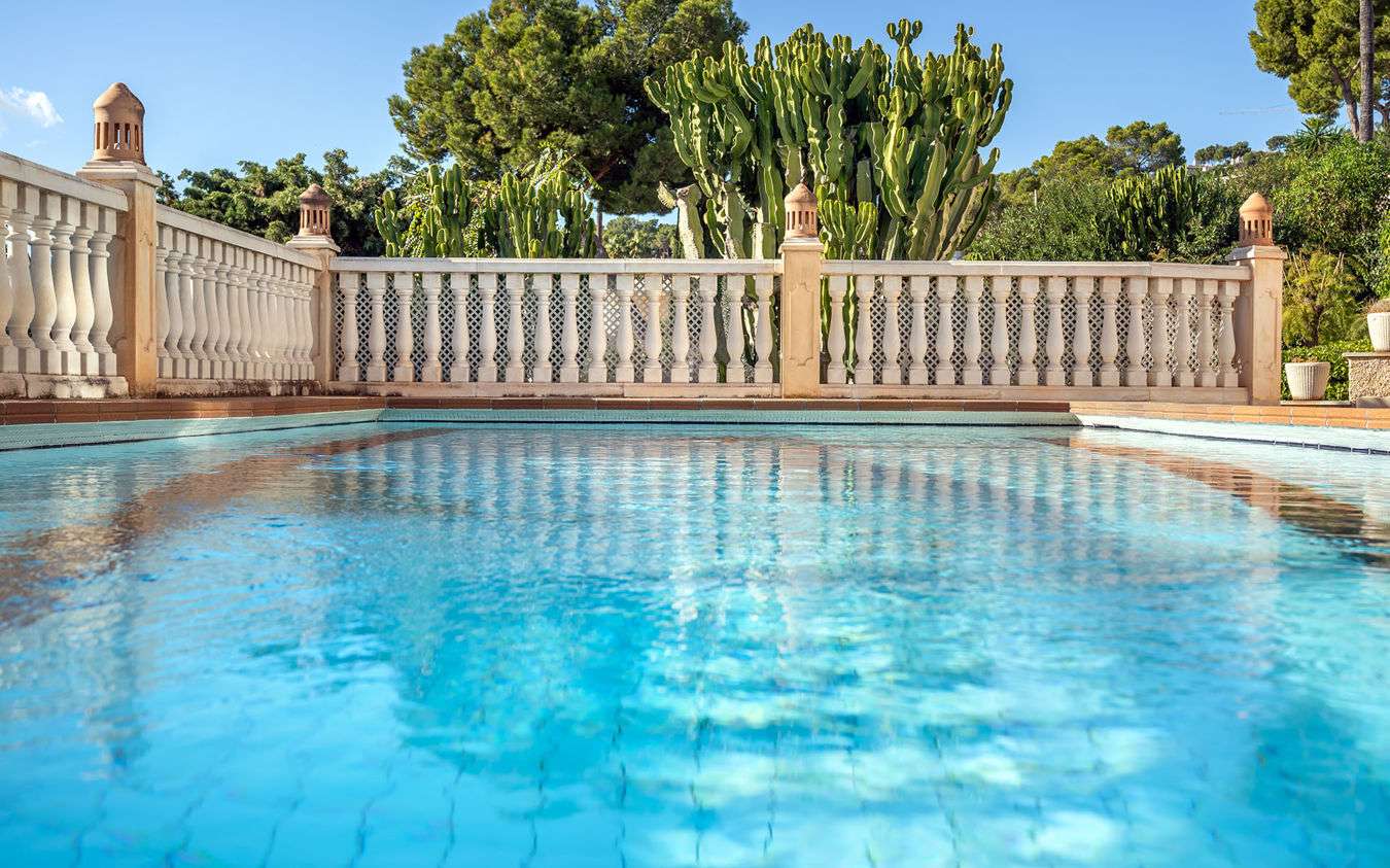 [object Object] - image