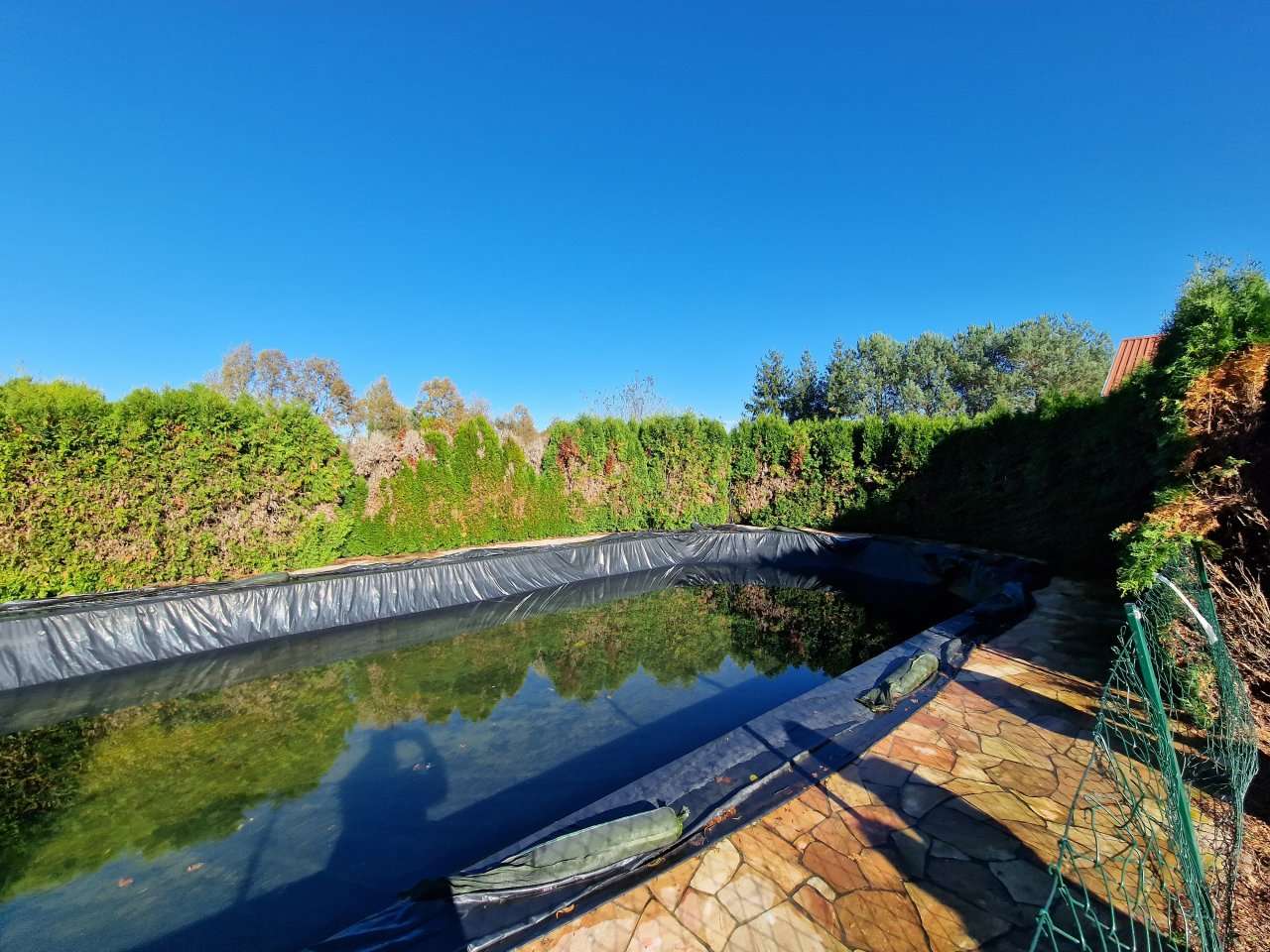 [object Object] - image