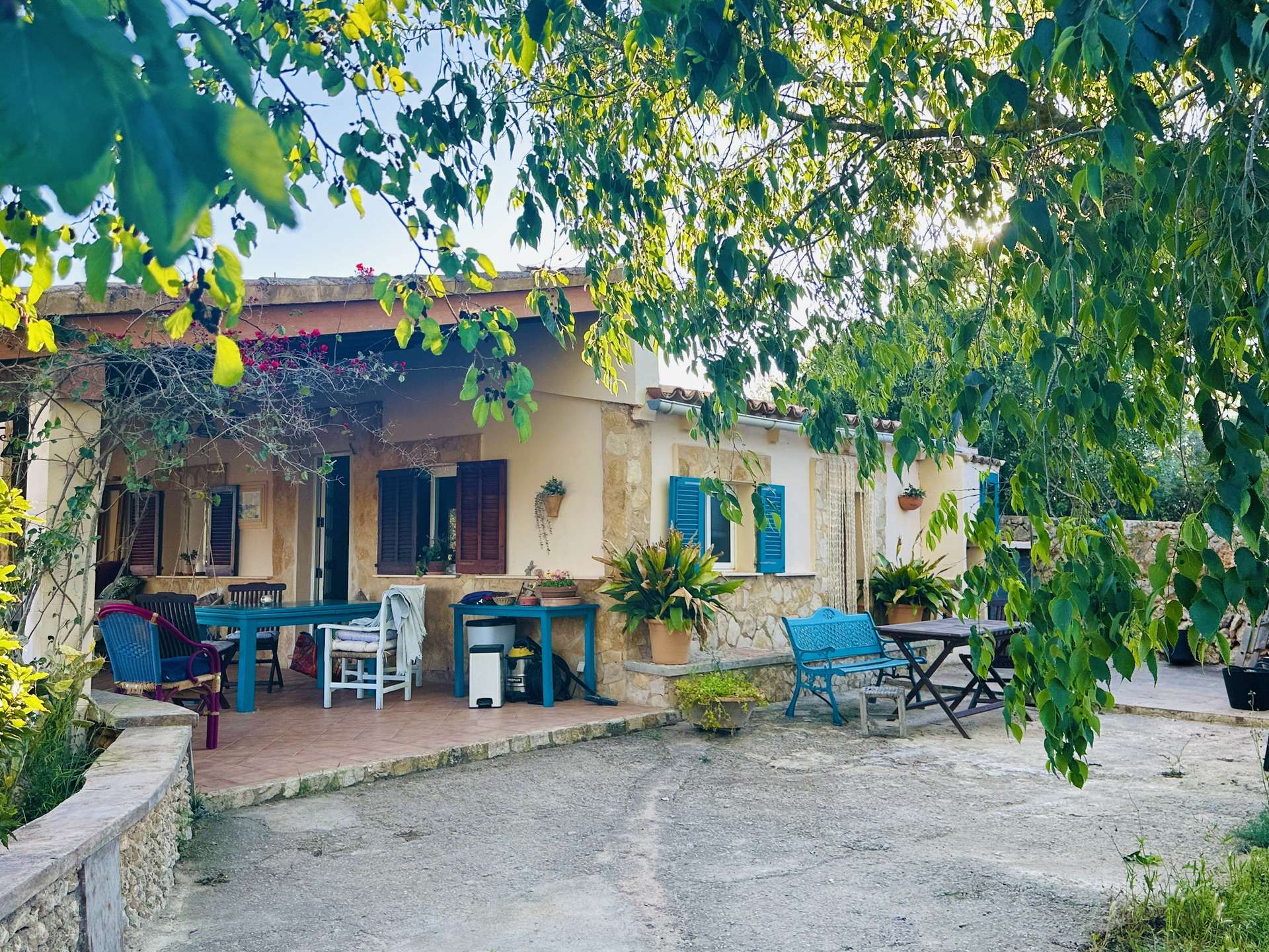 [object Object] - image