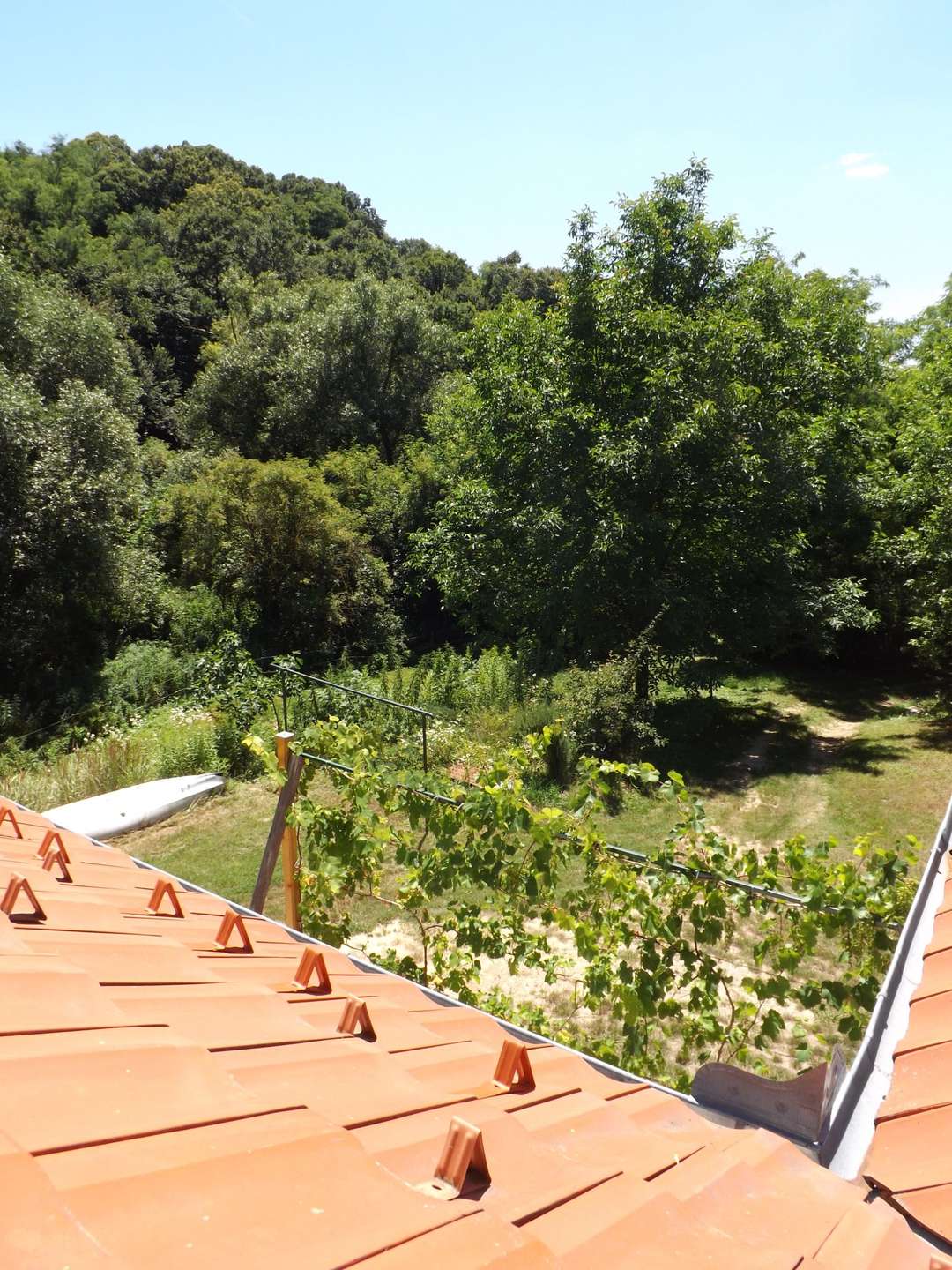 [object Object] - image