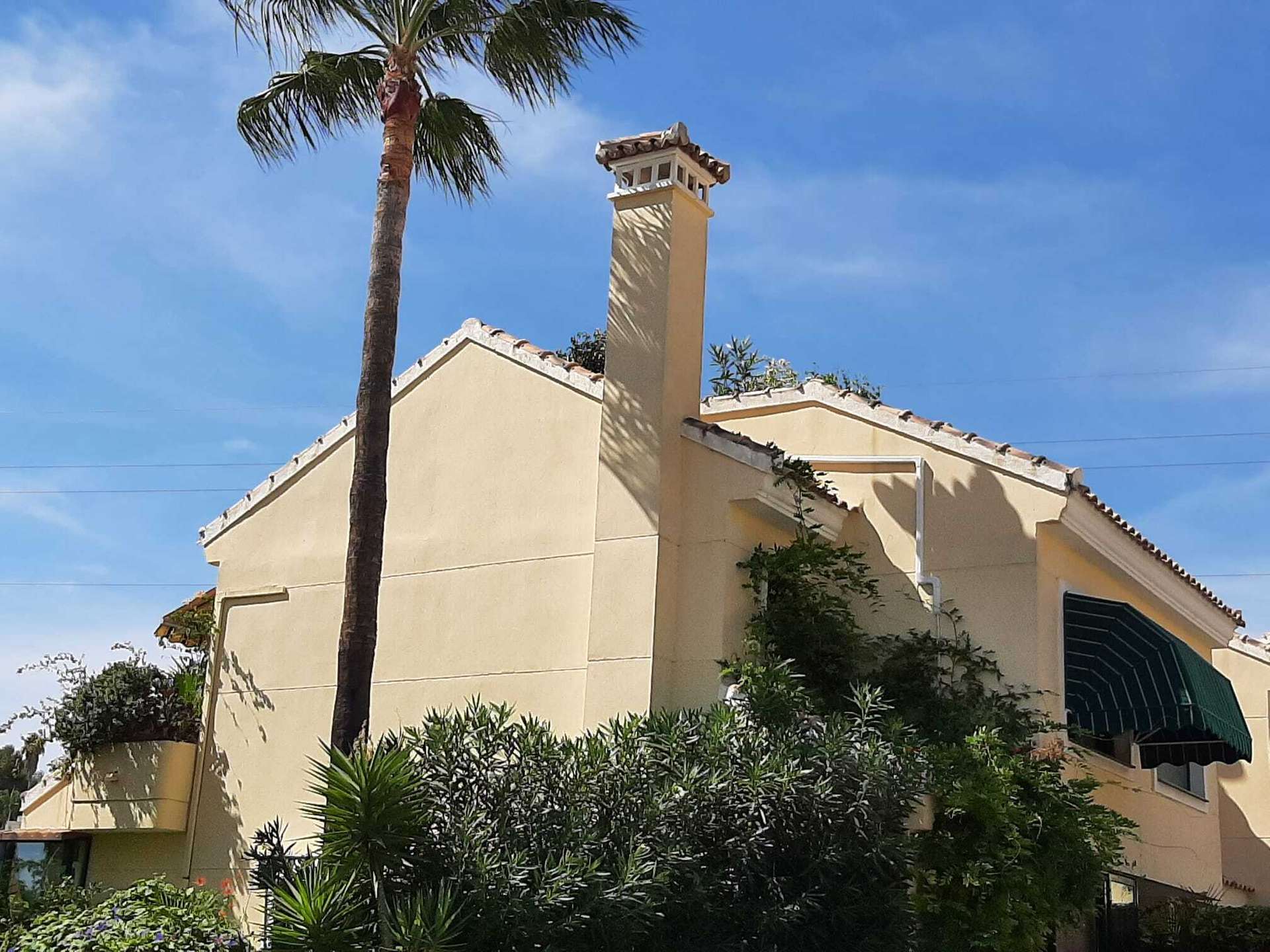 [object Object] - image