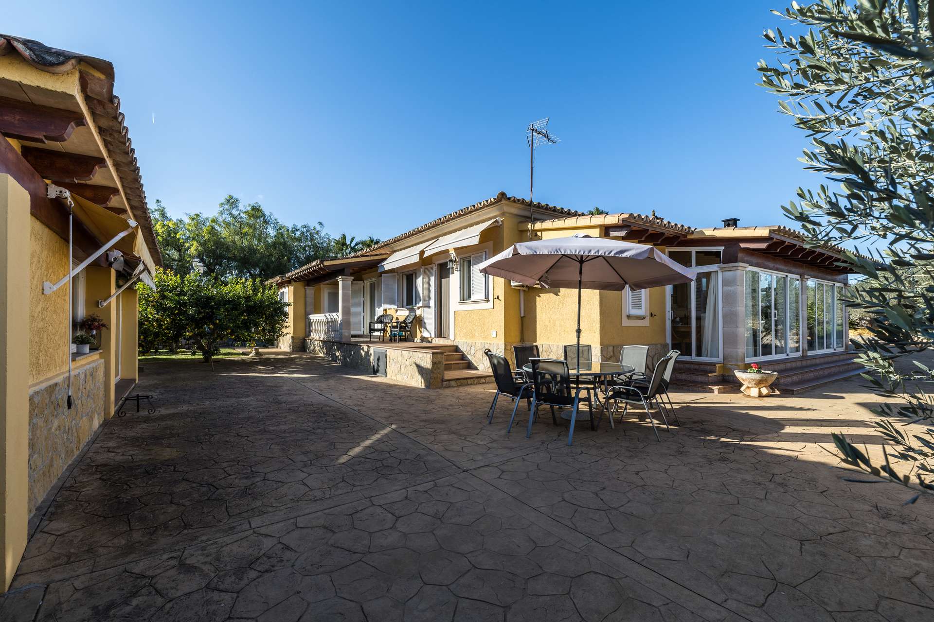 [object Object] - image