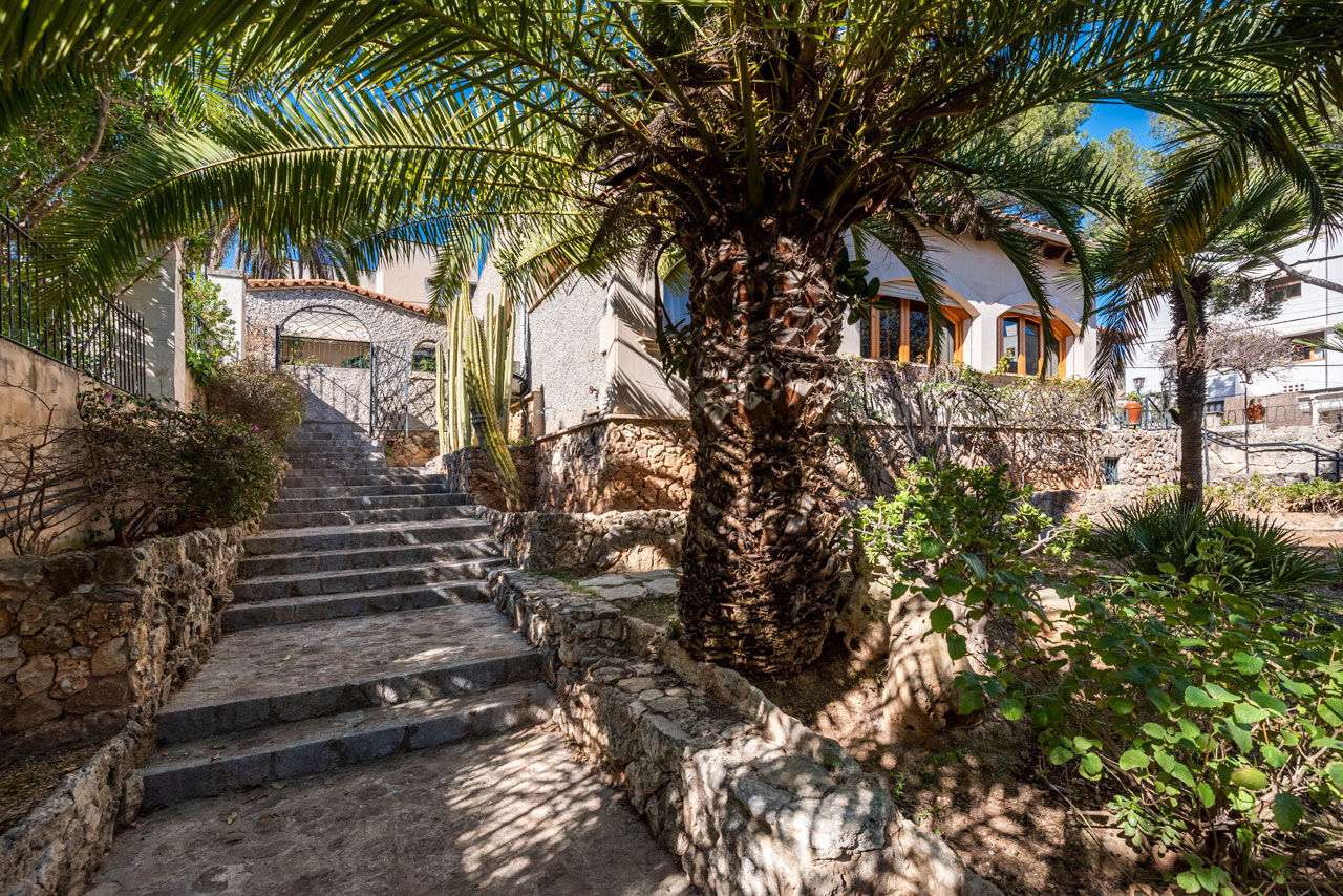 [object Object] - image