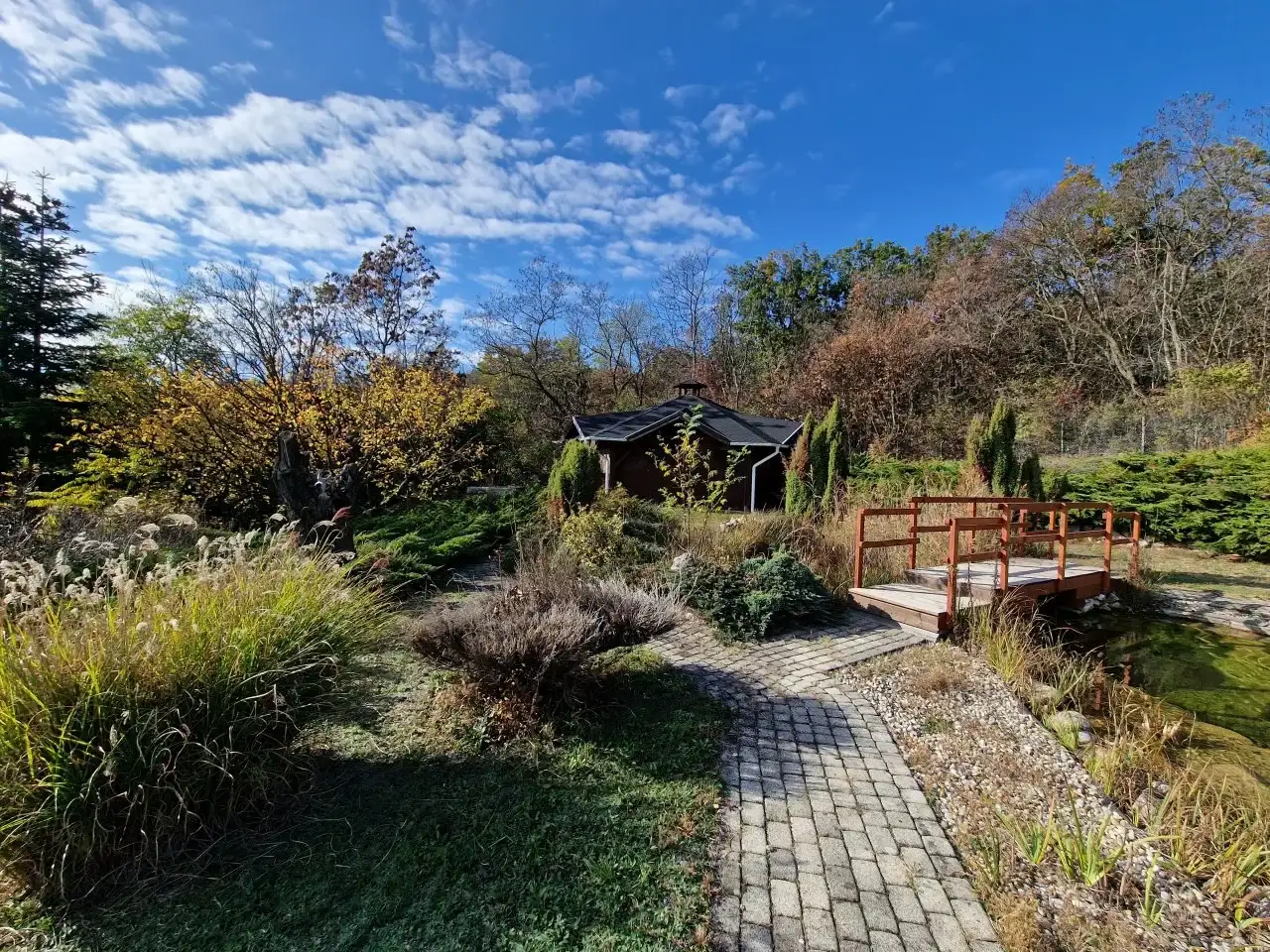 [object Object] - image