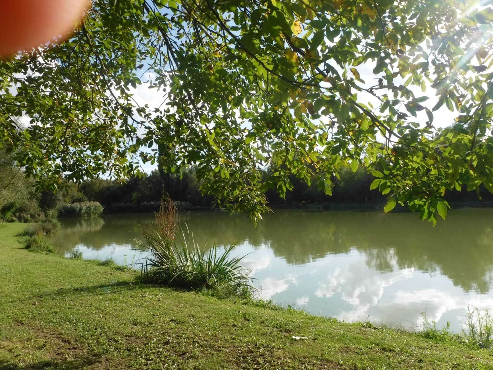 [object Object] - image