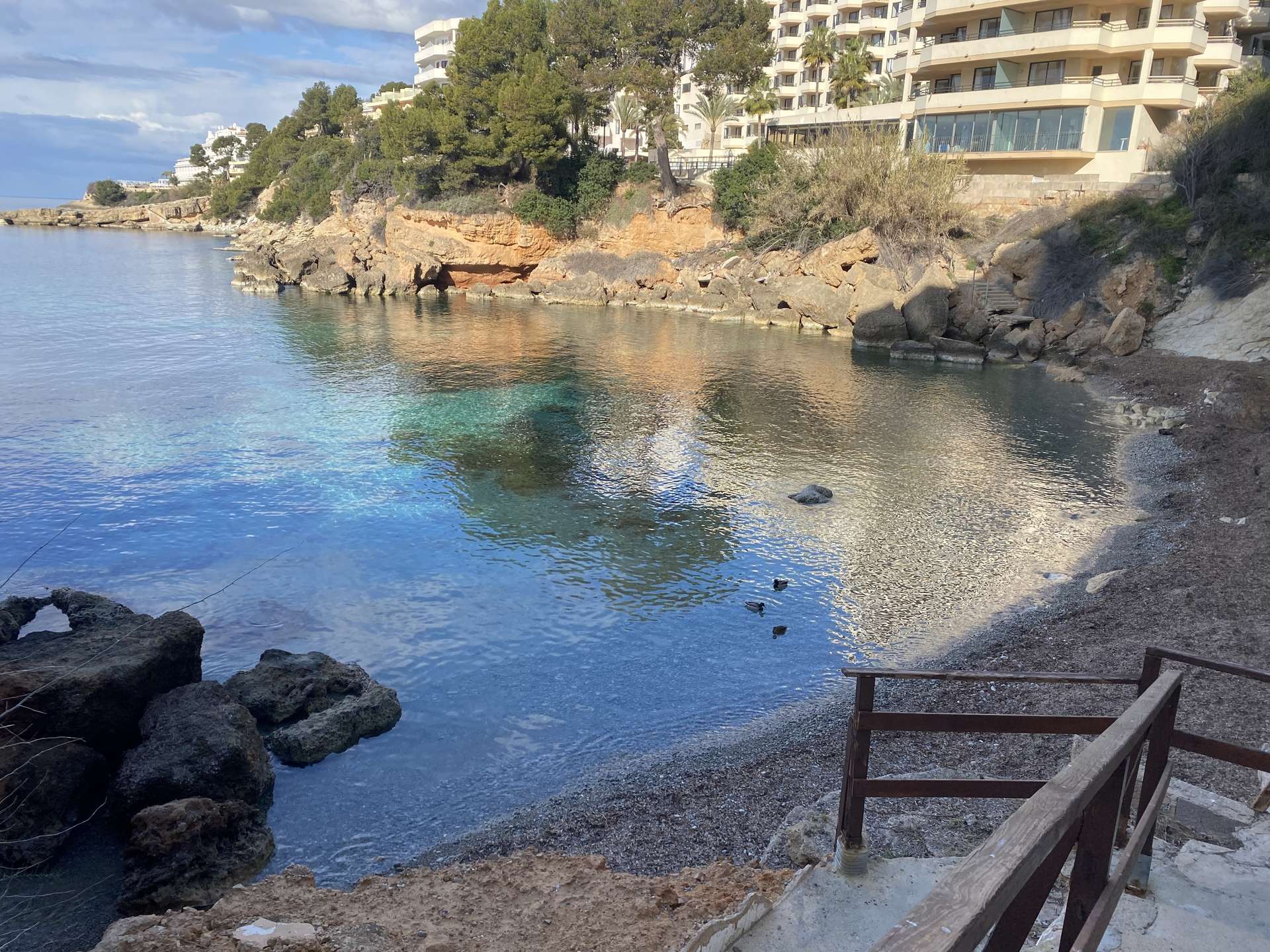 [object Object] - image