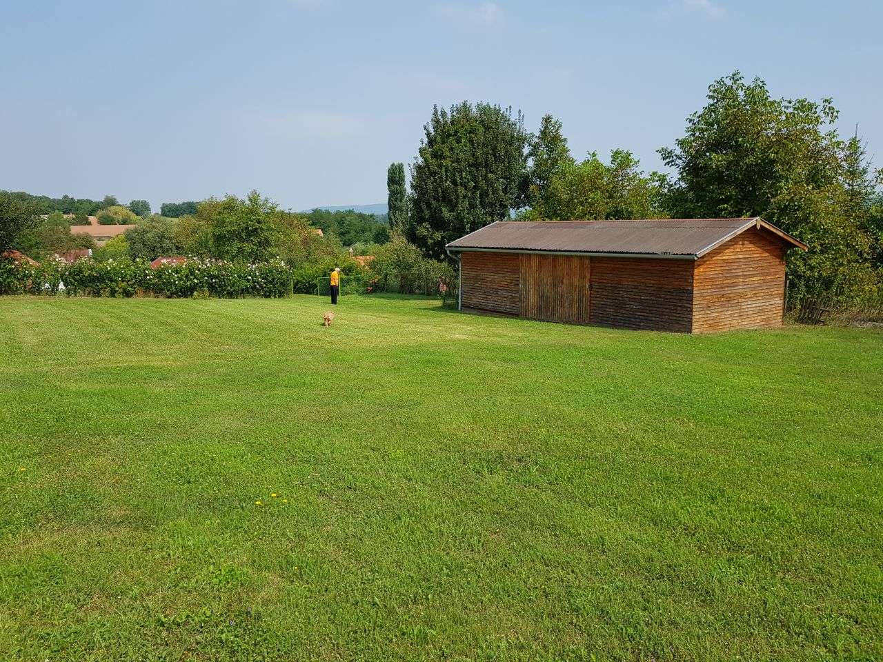 [object Object] - image