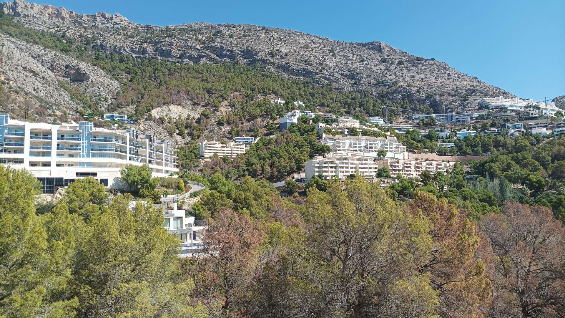 [object Object] - image