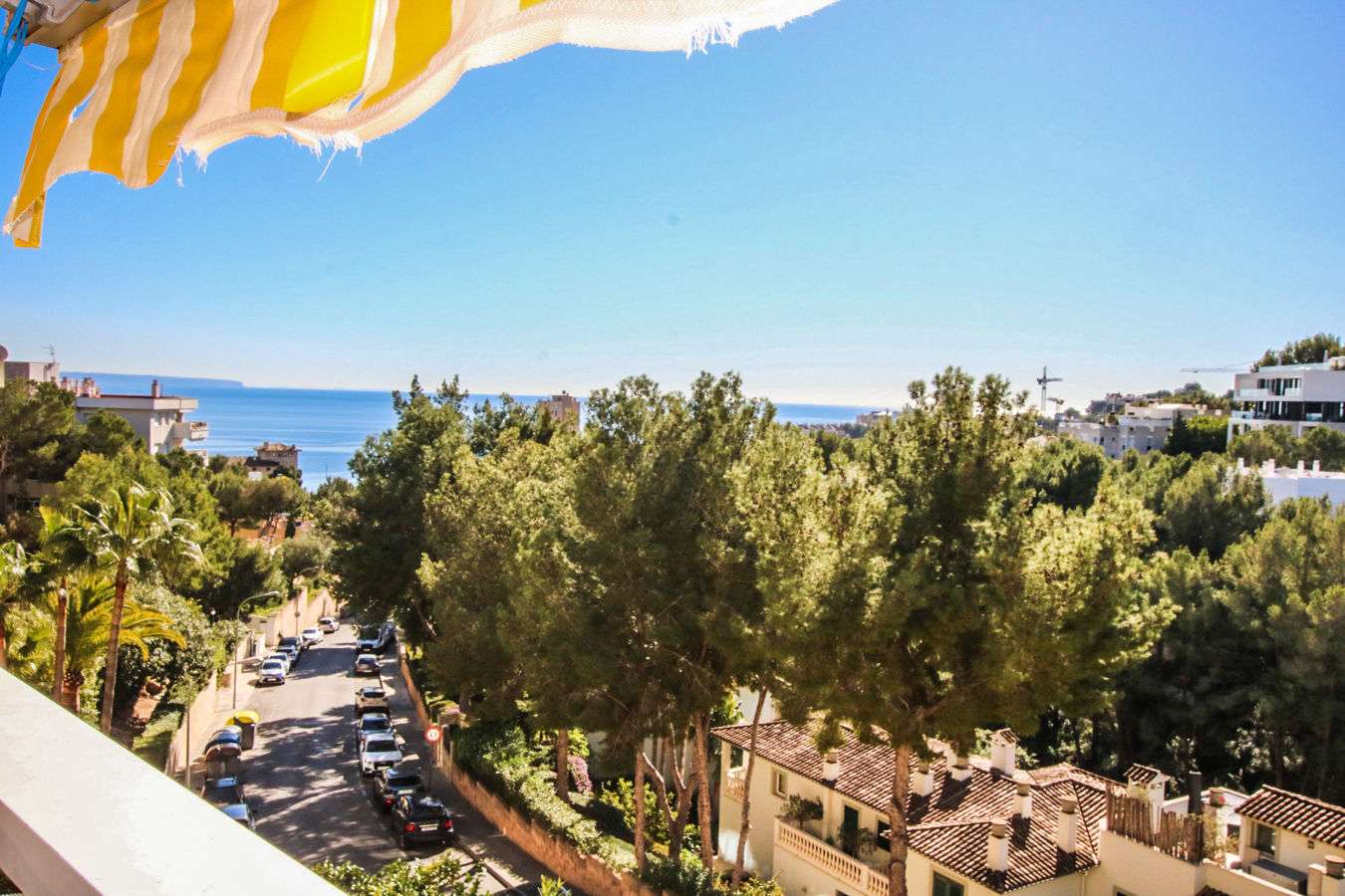 [object Object] - image