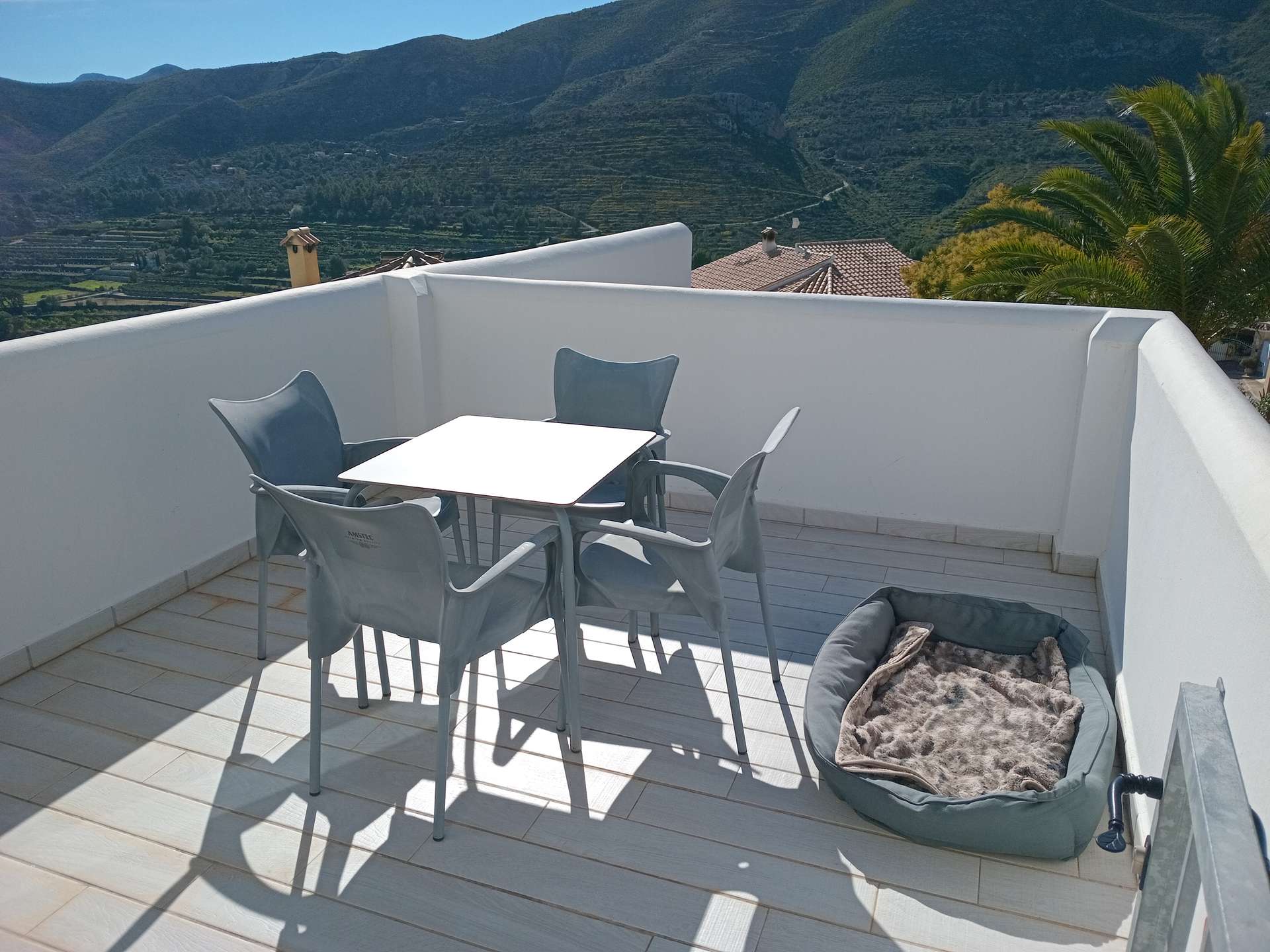 [object Object] - image