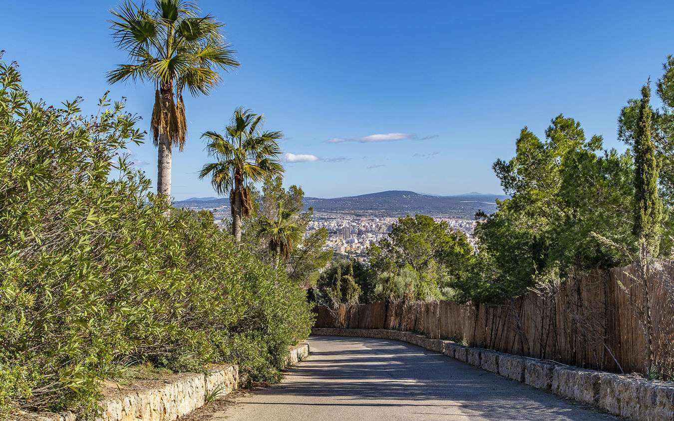 [object Object] - image