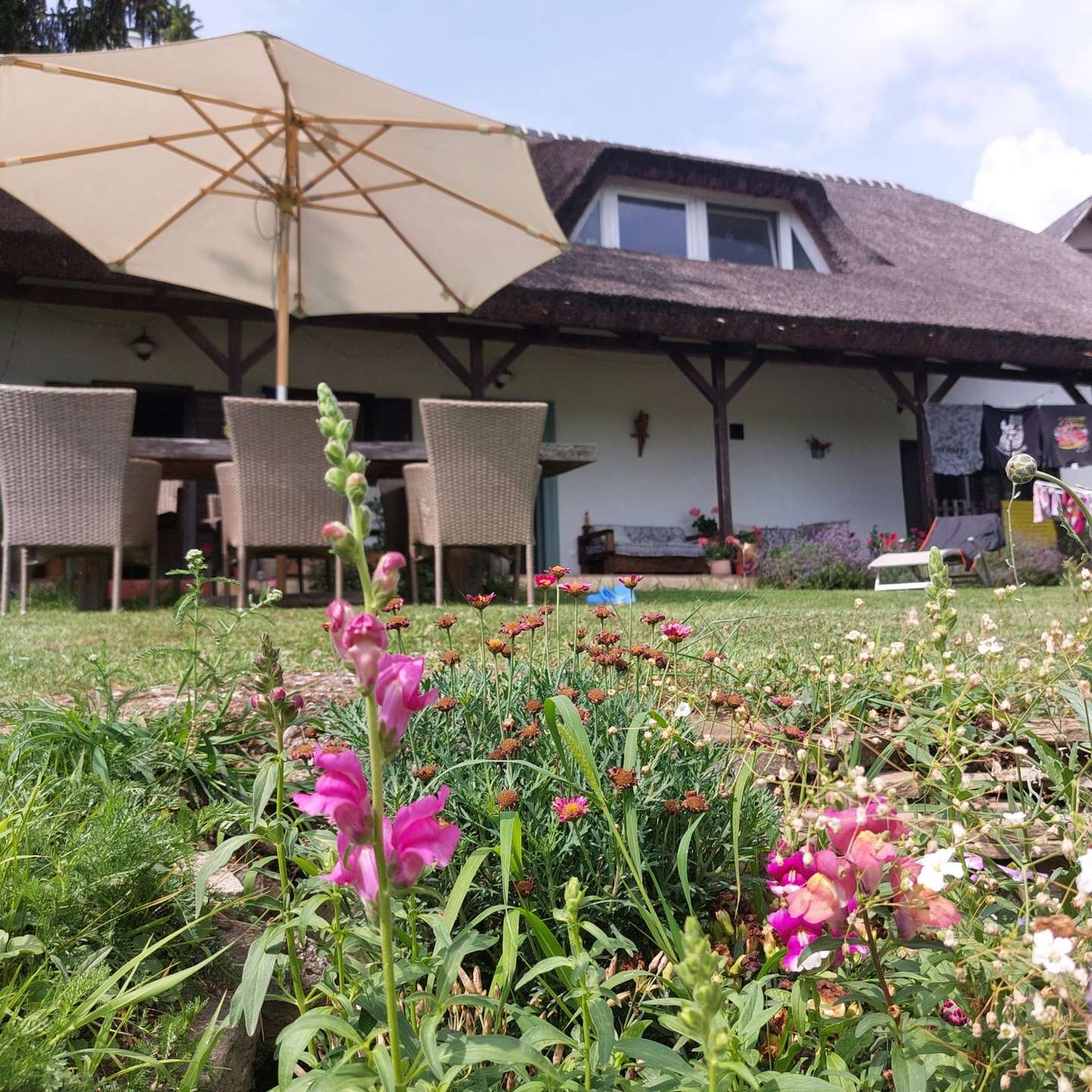 [object Object] - image