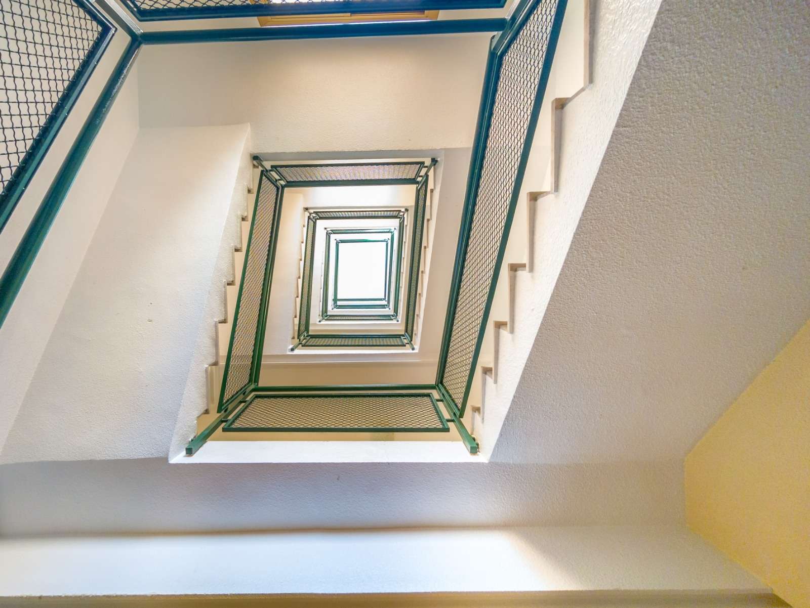 [object Object] - image