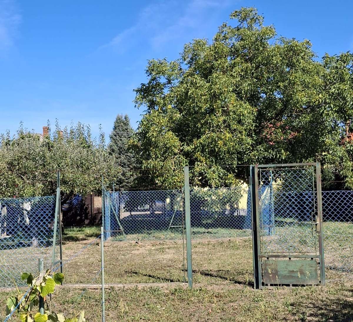 [object Object] - image