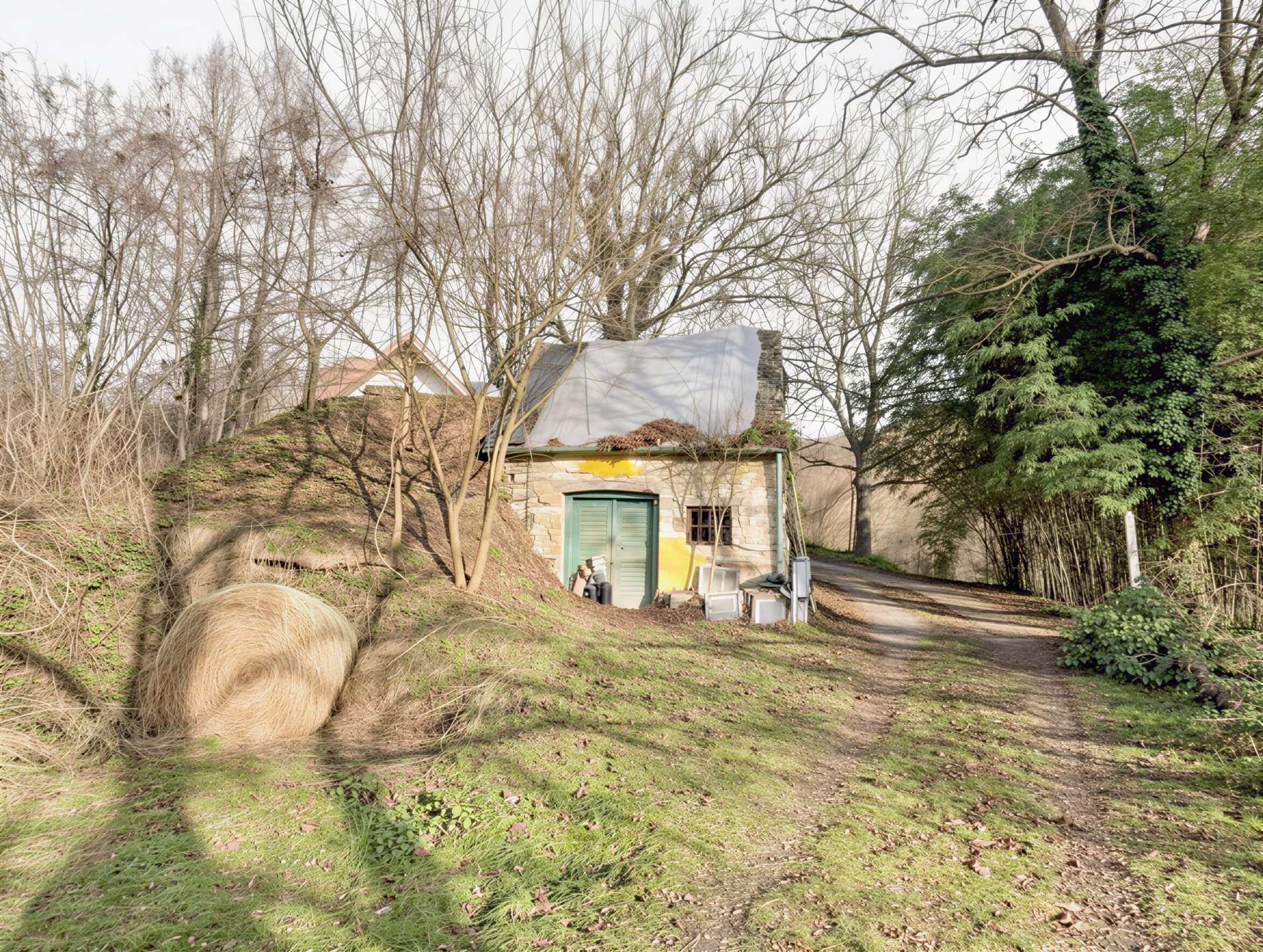 [object Object] - image