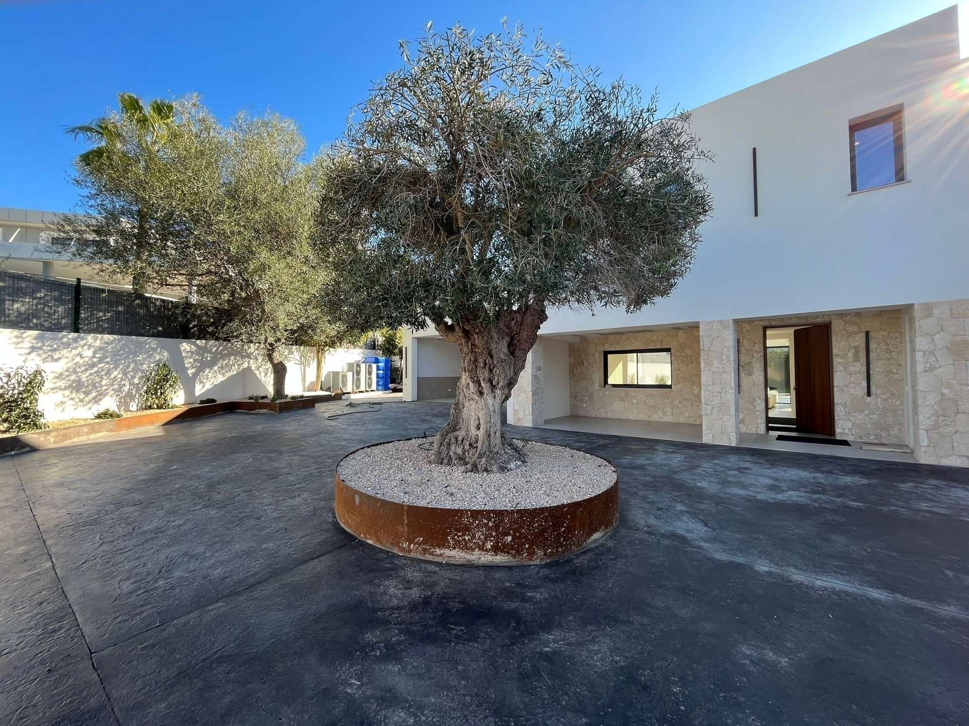 [object Object] - image