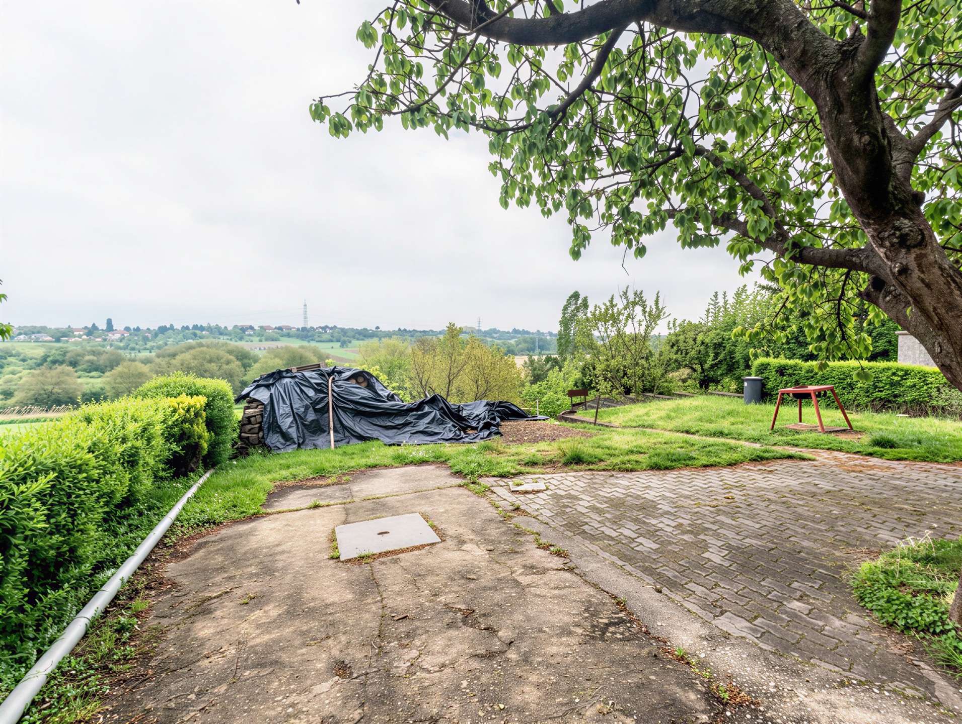 [object Object] - image