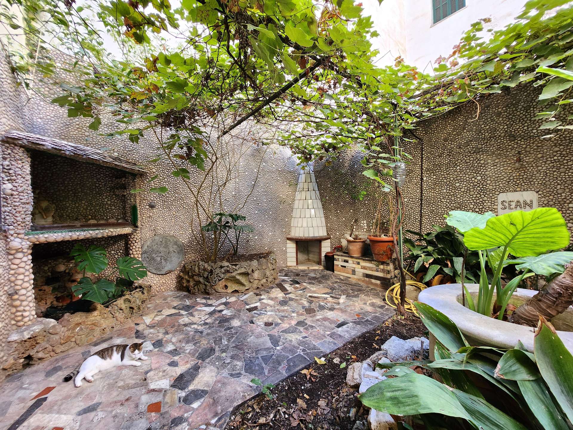 [object Object] - image