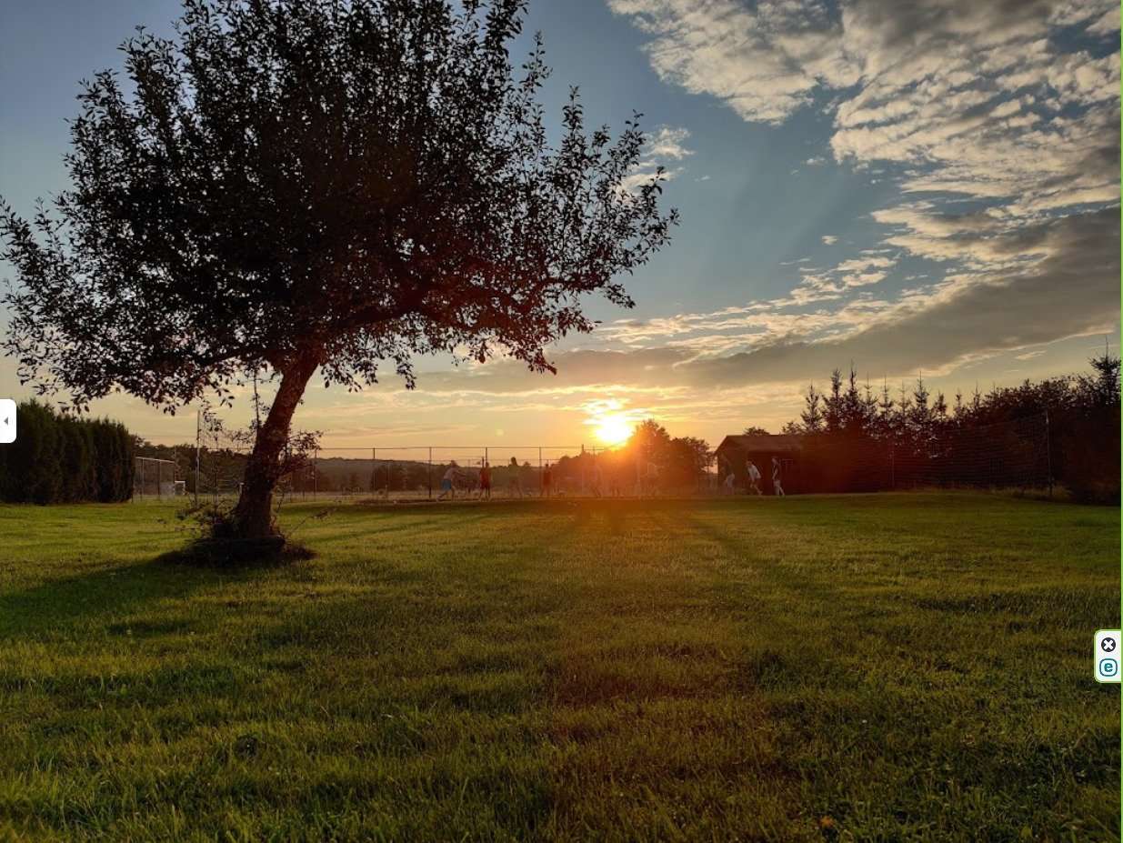 [object Object] - image