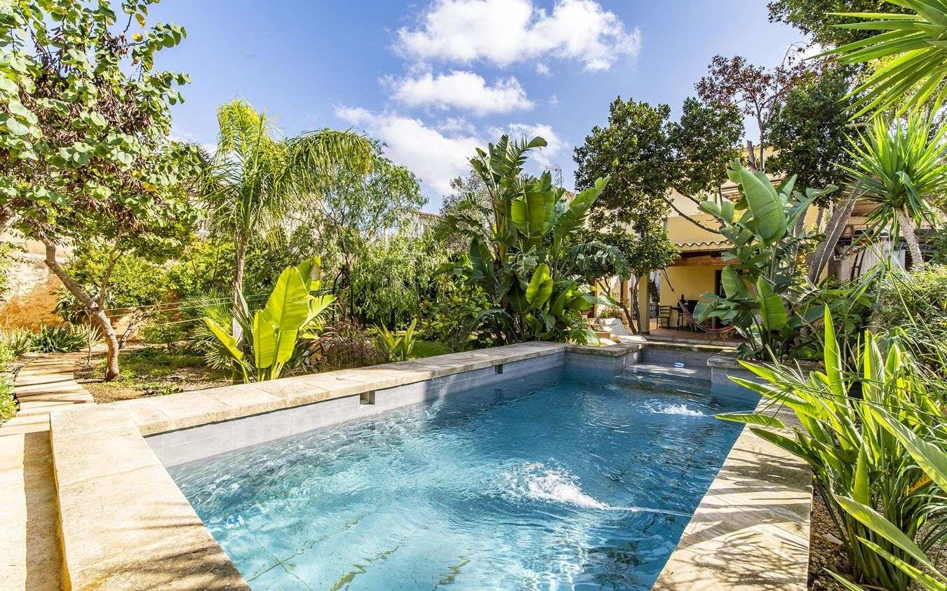 [object Object] - image