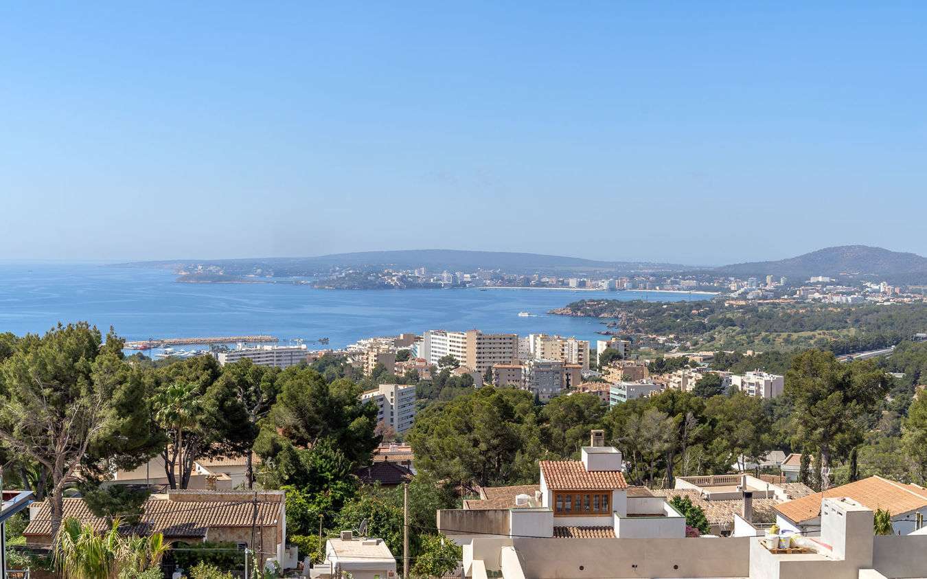 [object Object] - image