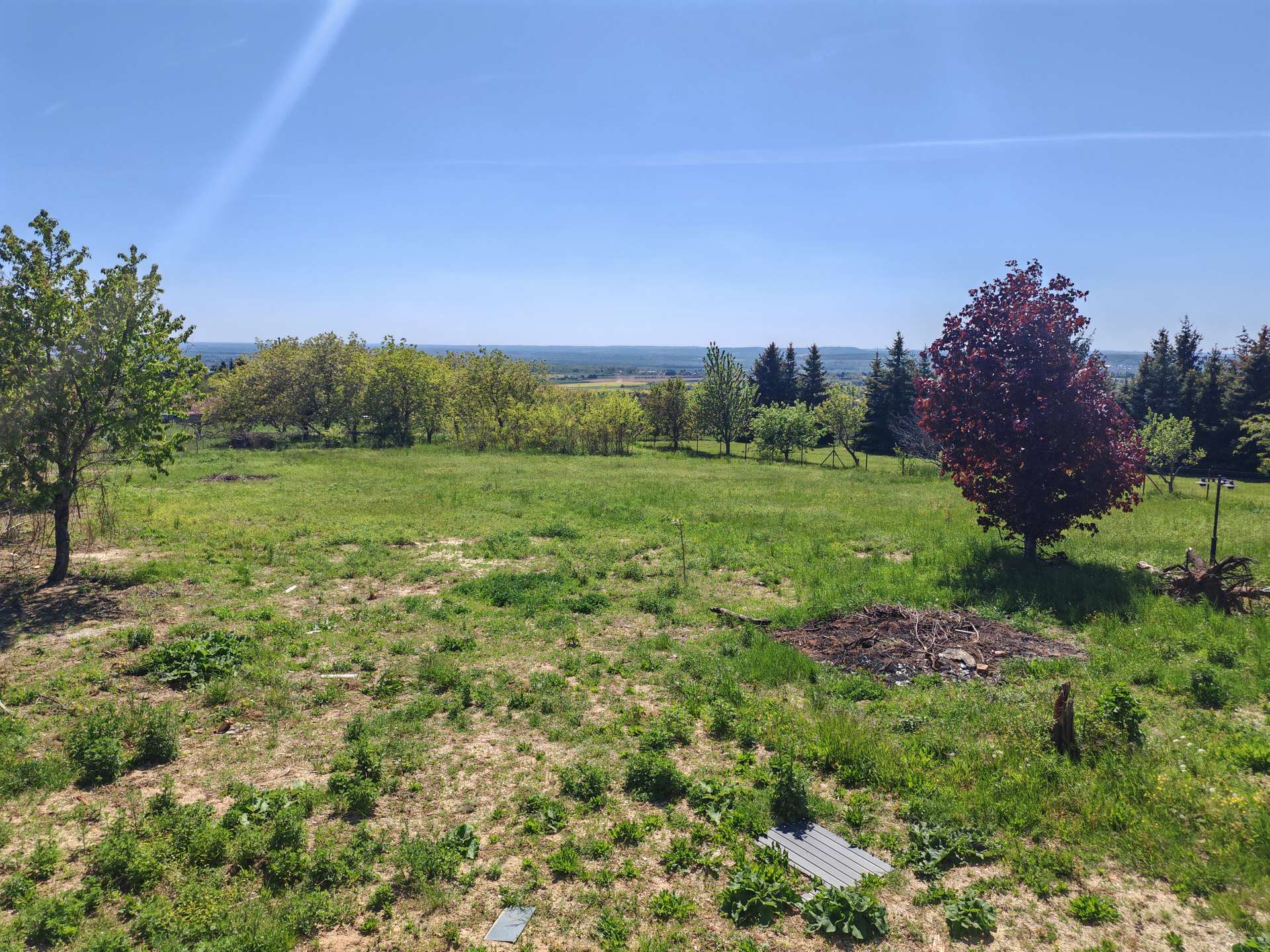 [object Object] - image