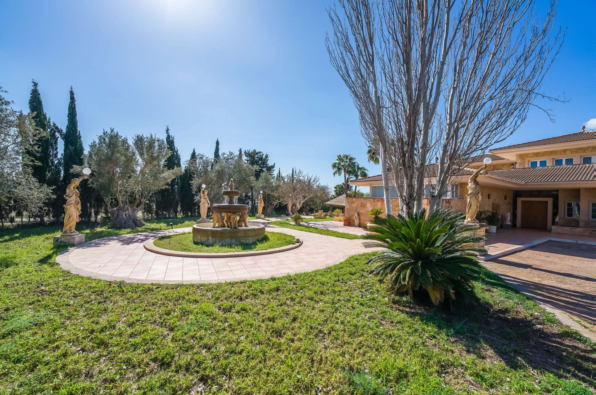 [object Object] - image