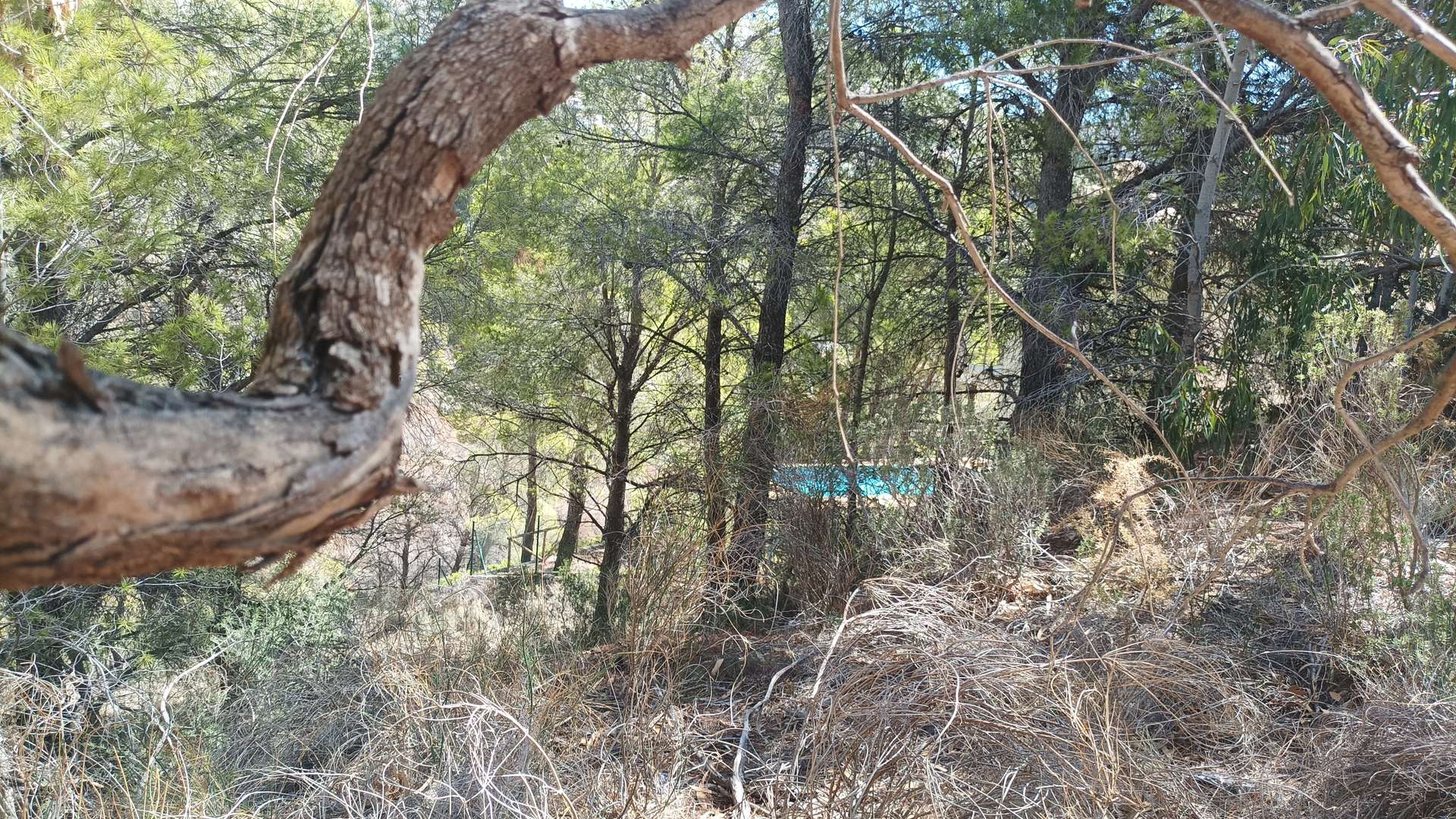 [object Object] - image